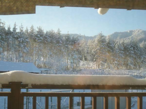 Guest House Panorama 3D