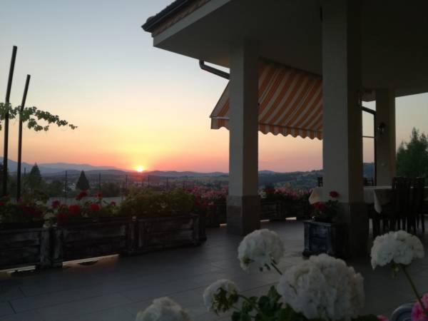 Guest House Panorama 3D
