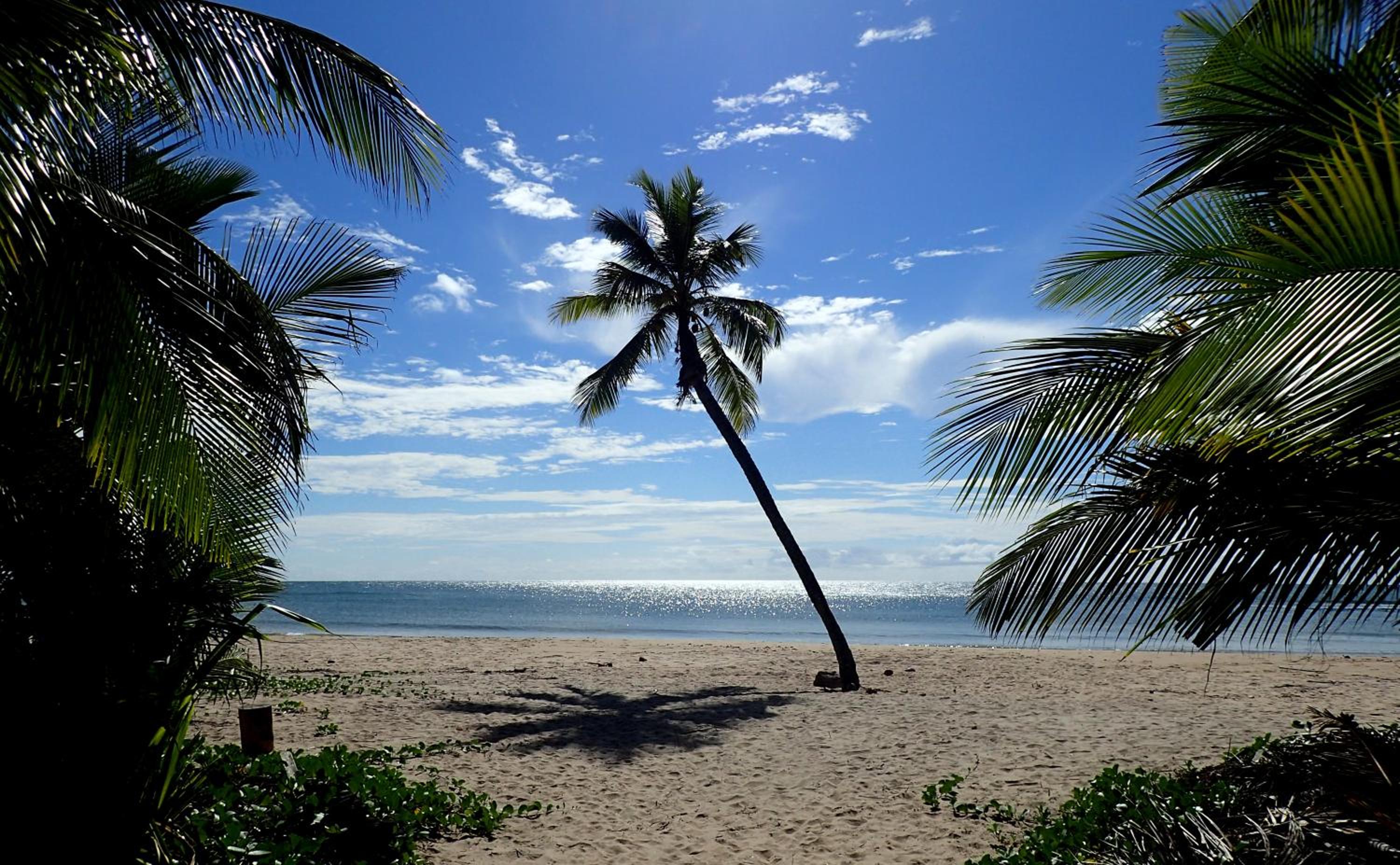 Luar do Leão Bungalow