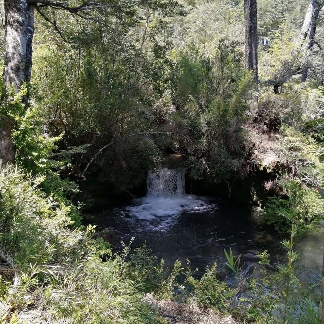 El Rincon de la Olguita