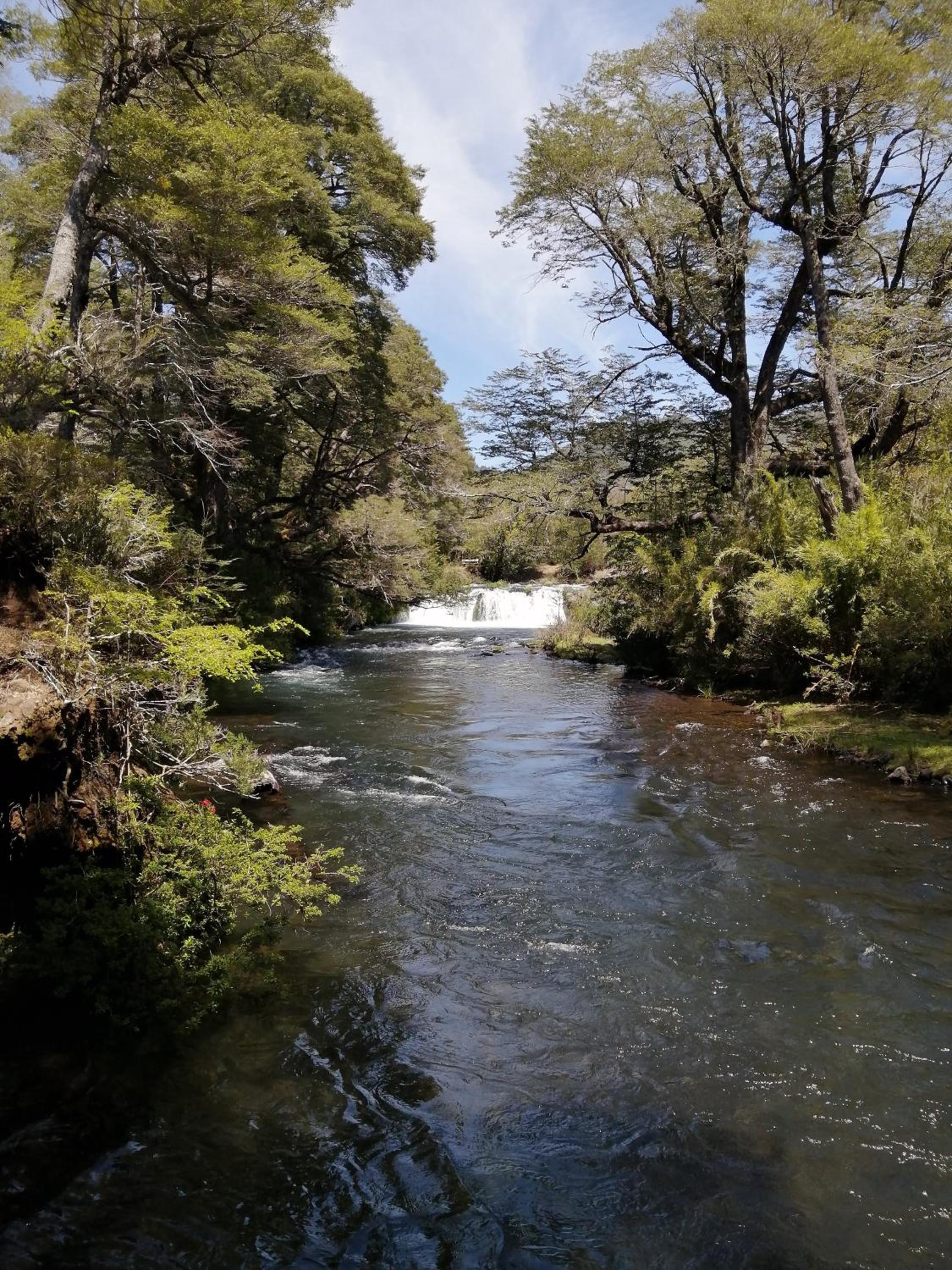 El Rincon de la Olguita