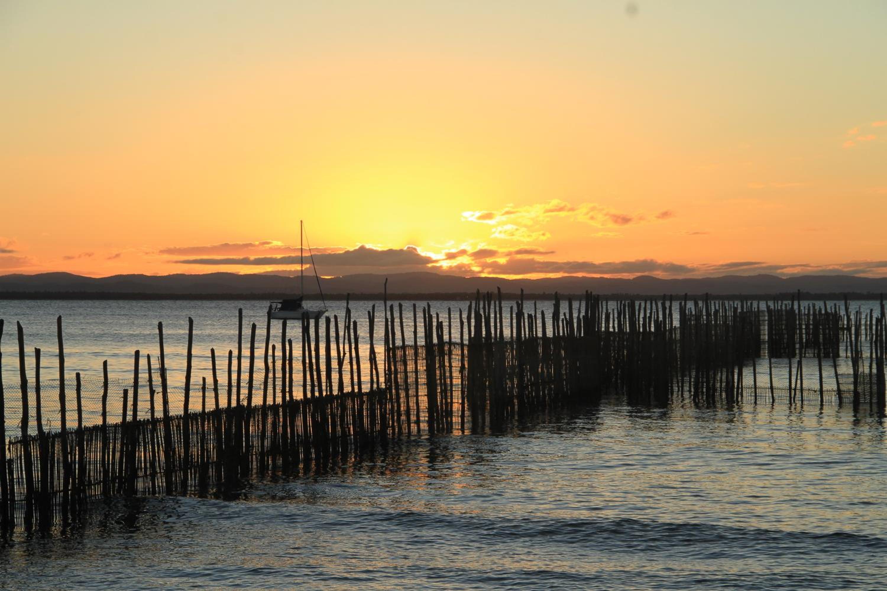 Luar do Leão Bungalow