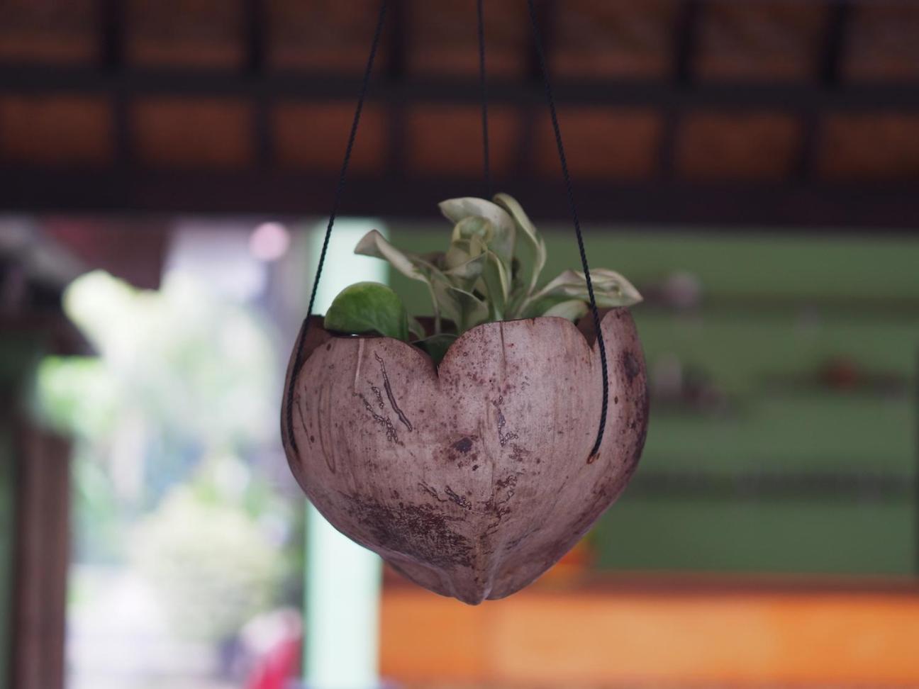 Nyoman Guesthouse and Grill