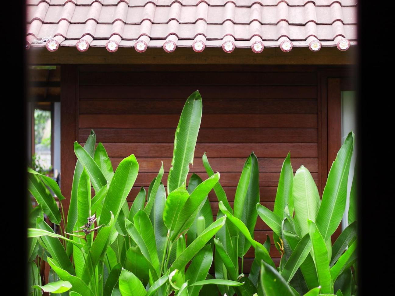 Nyoman Guesthouse and Grill