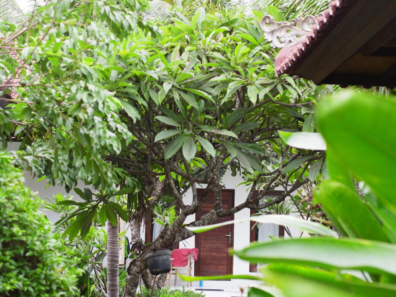 Nyoman Guesthouse and Grill