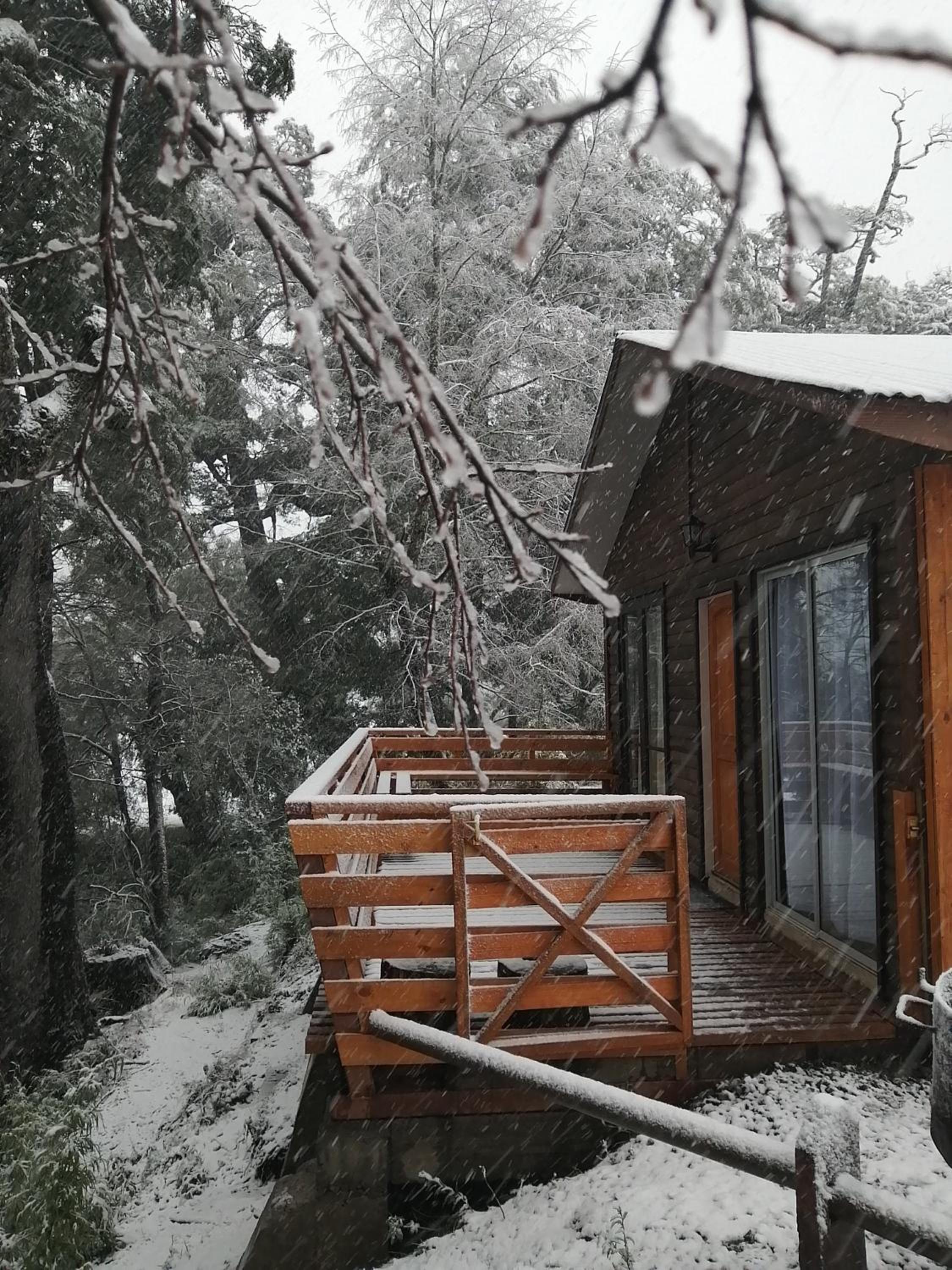 El Rincon de la Olguita