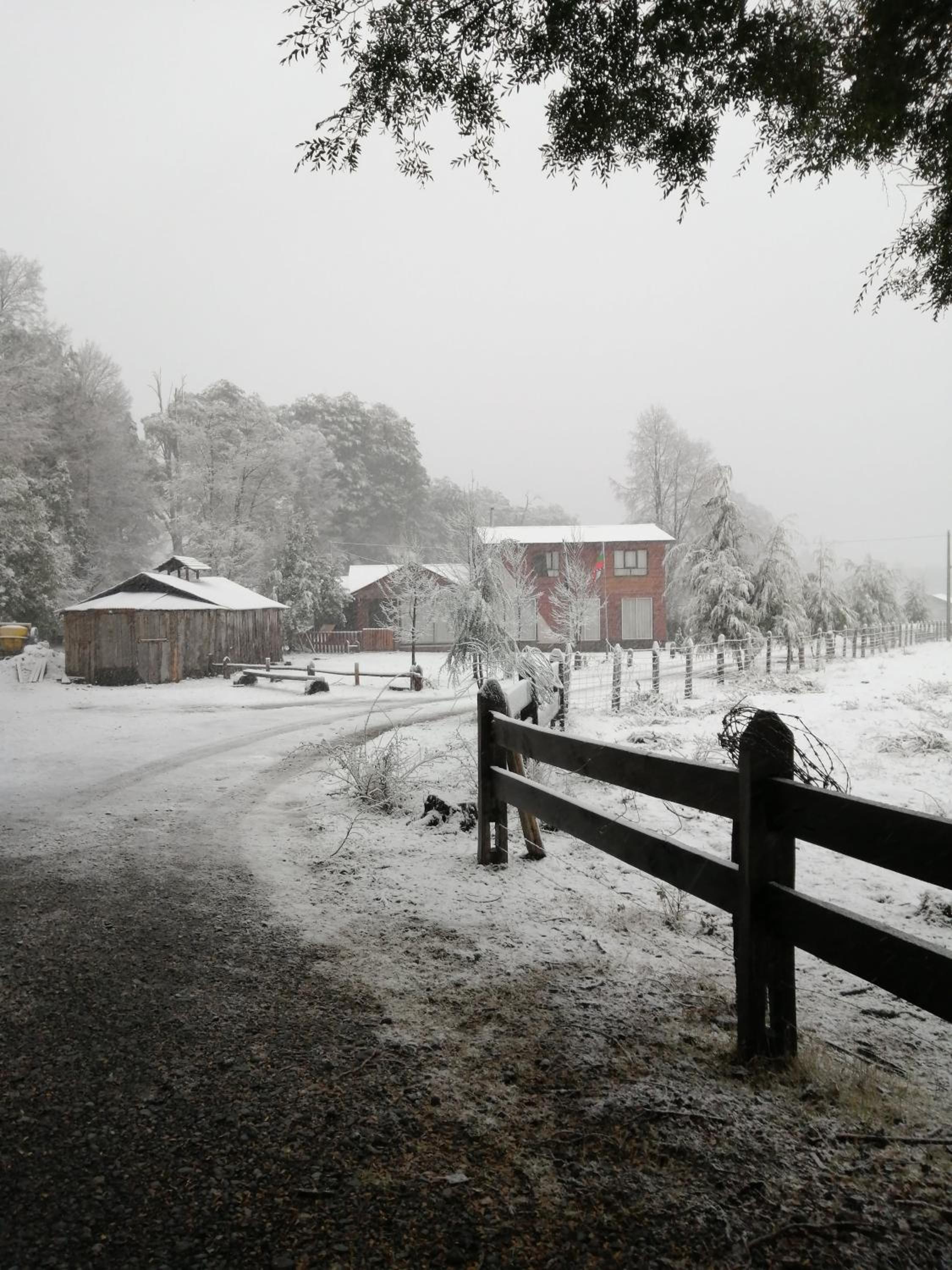 El Rincon de la Olguita