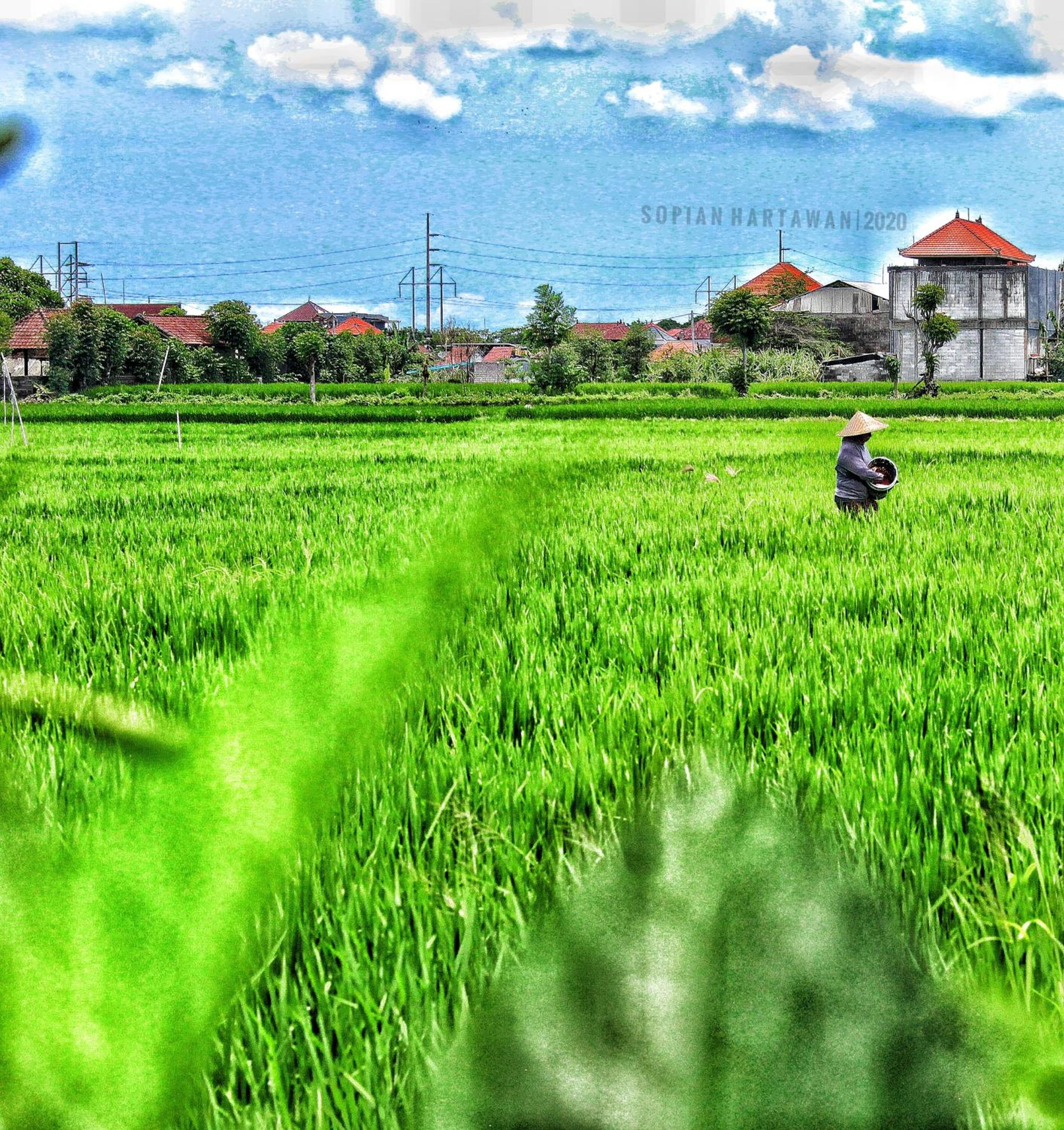 Bali Eco Living Yoga Healing Meditation and Retreat Center