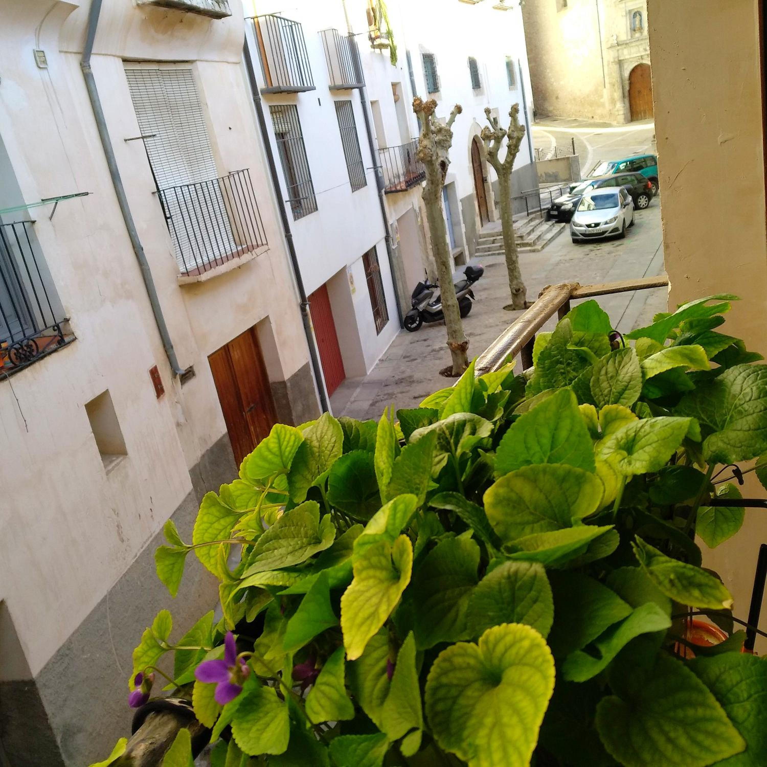 La Casita de Nerea XL