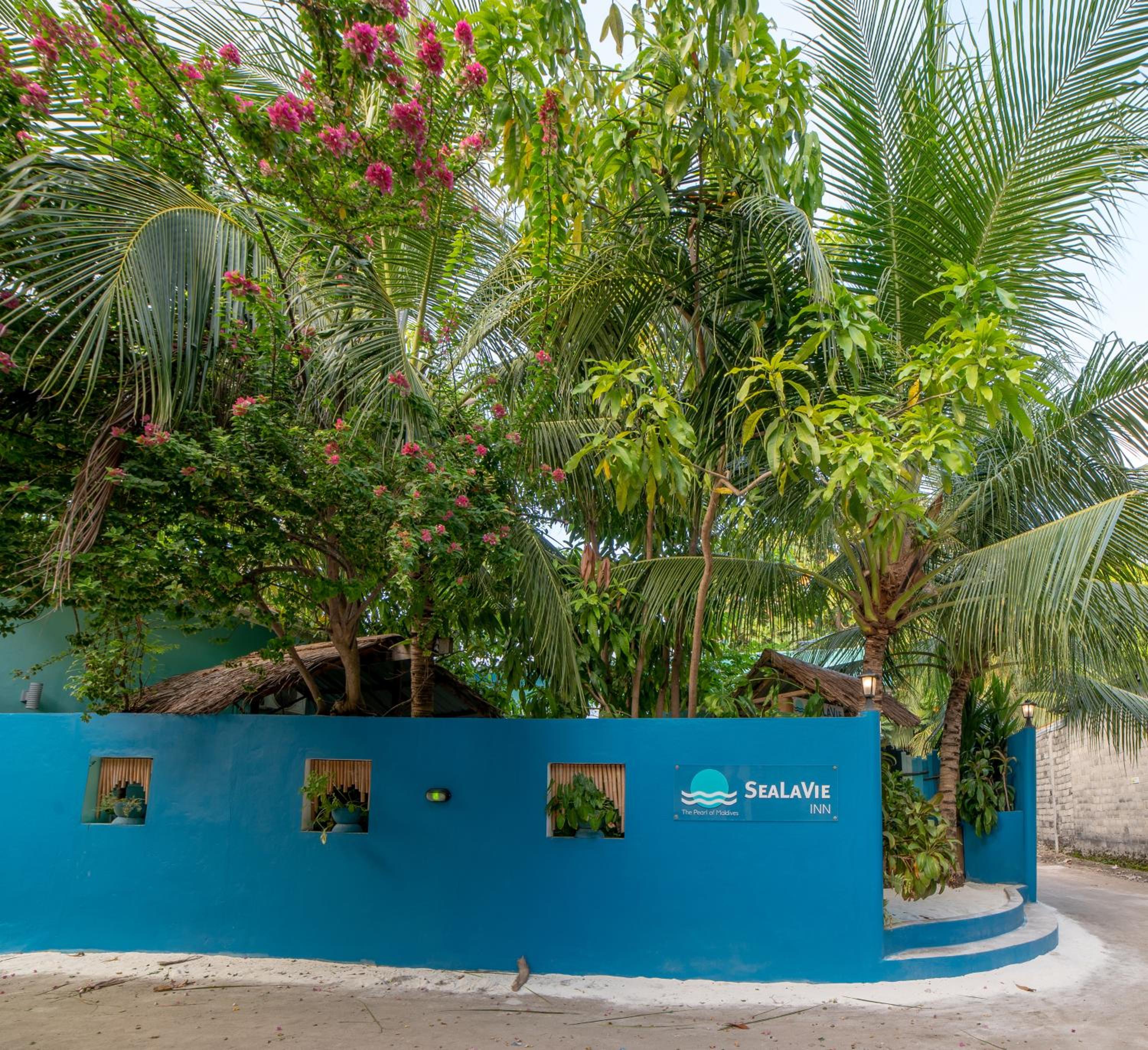 SeaLaVie Inn photo 4