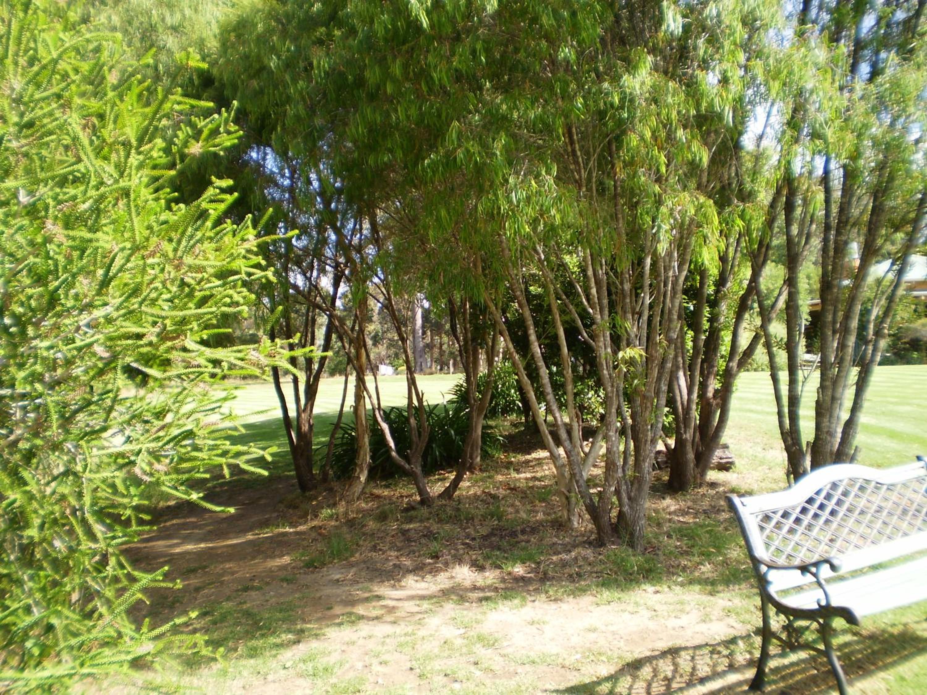 Pinda Lodge