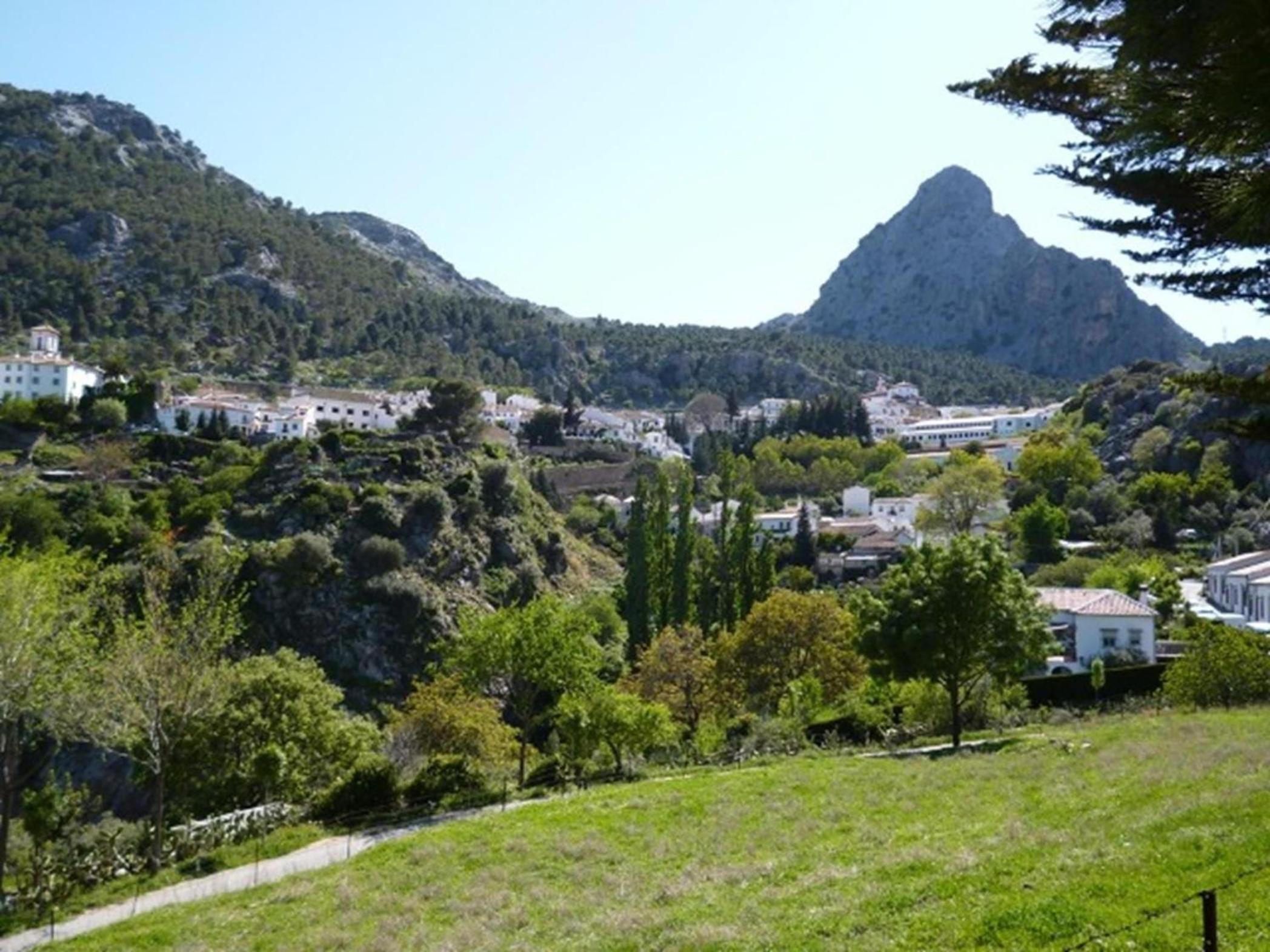 Photo 17