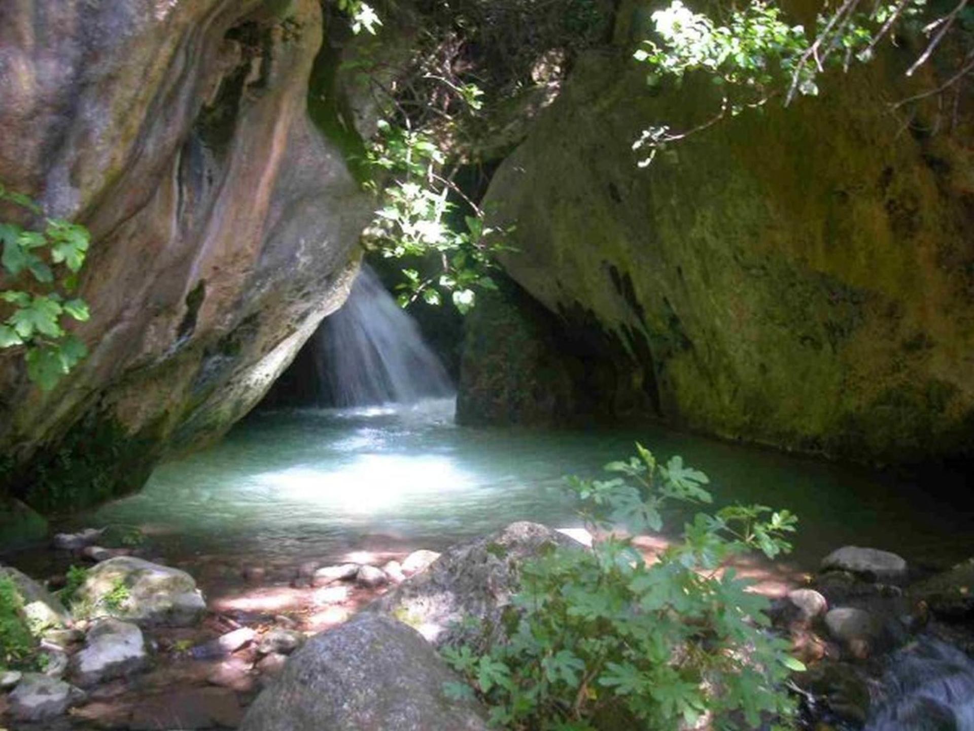 Photo 23