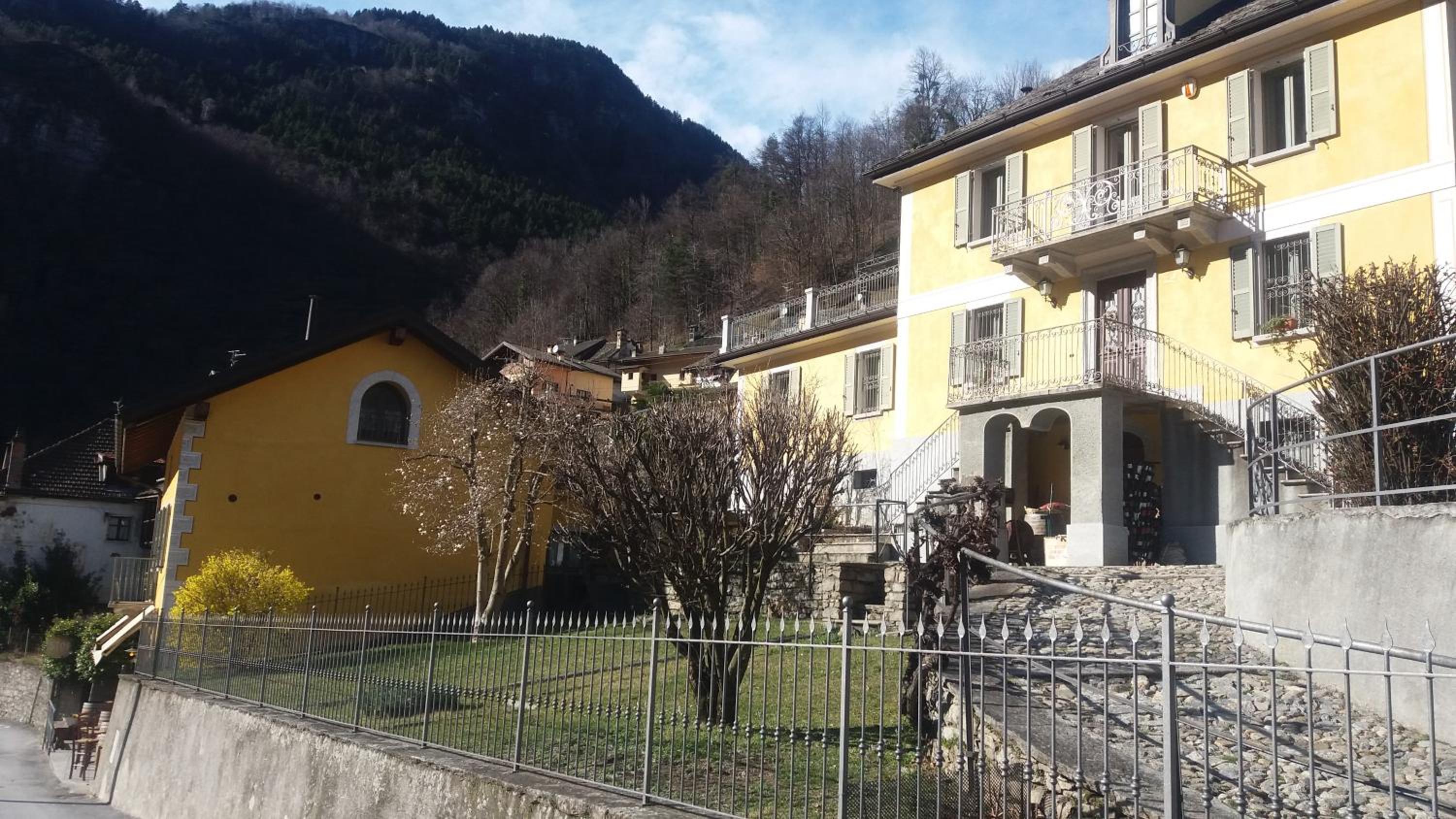 Photo 11