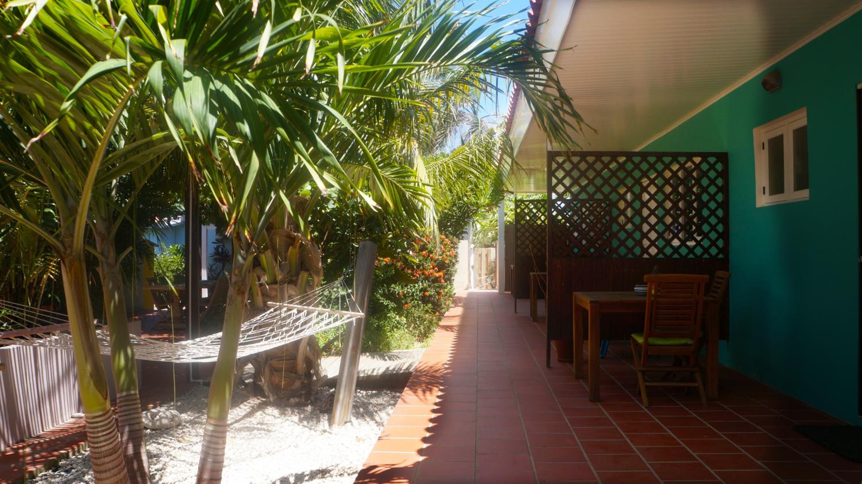 Aruba Palms Escape Suites