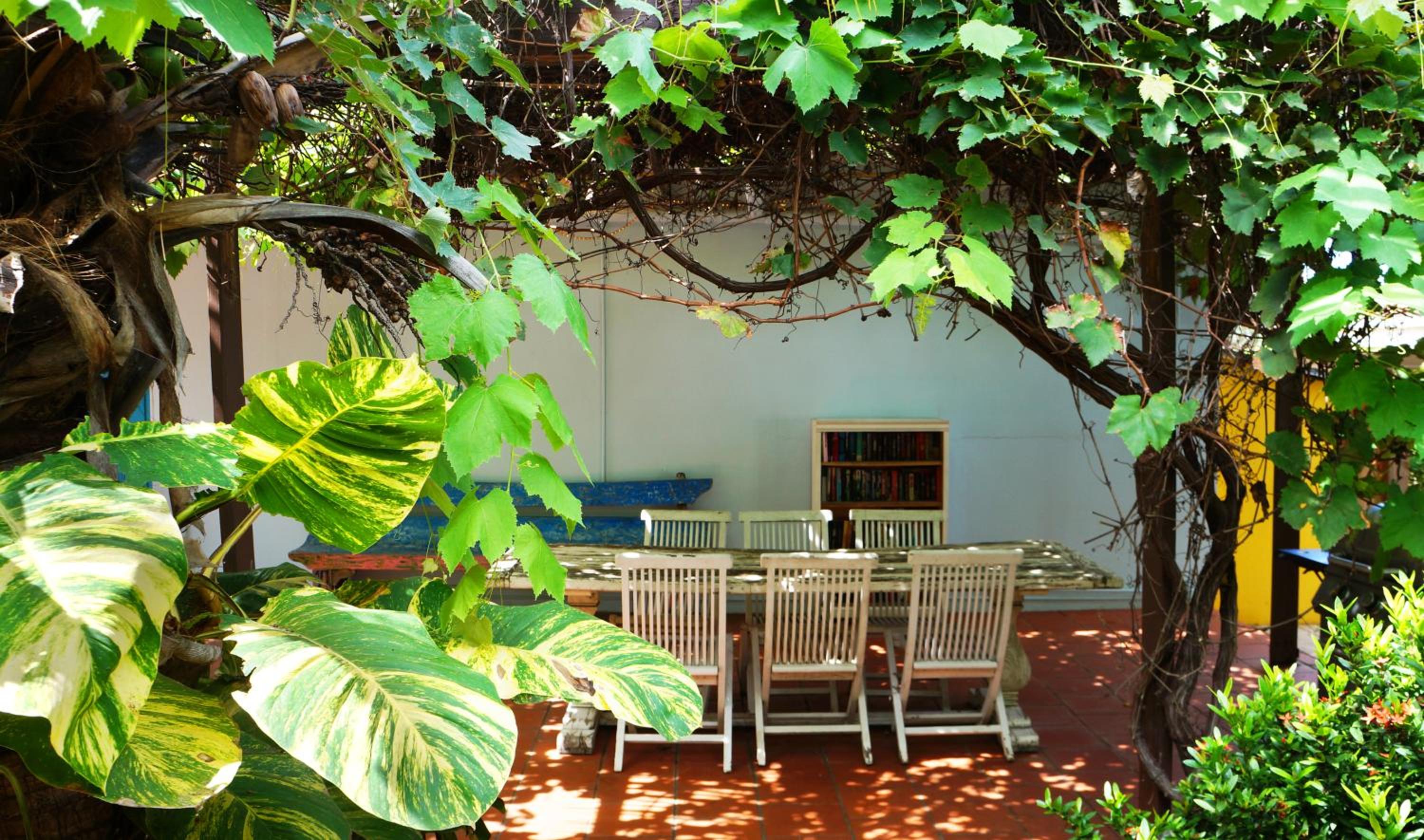 Aruba Palms Escape Suites
