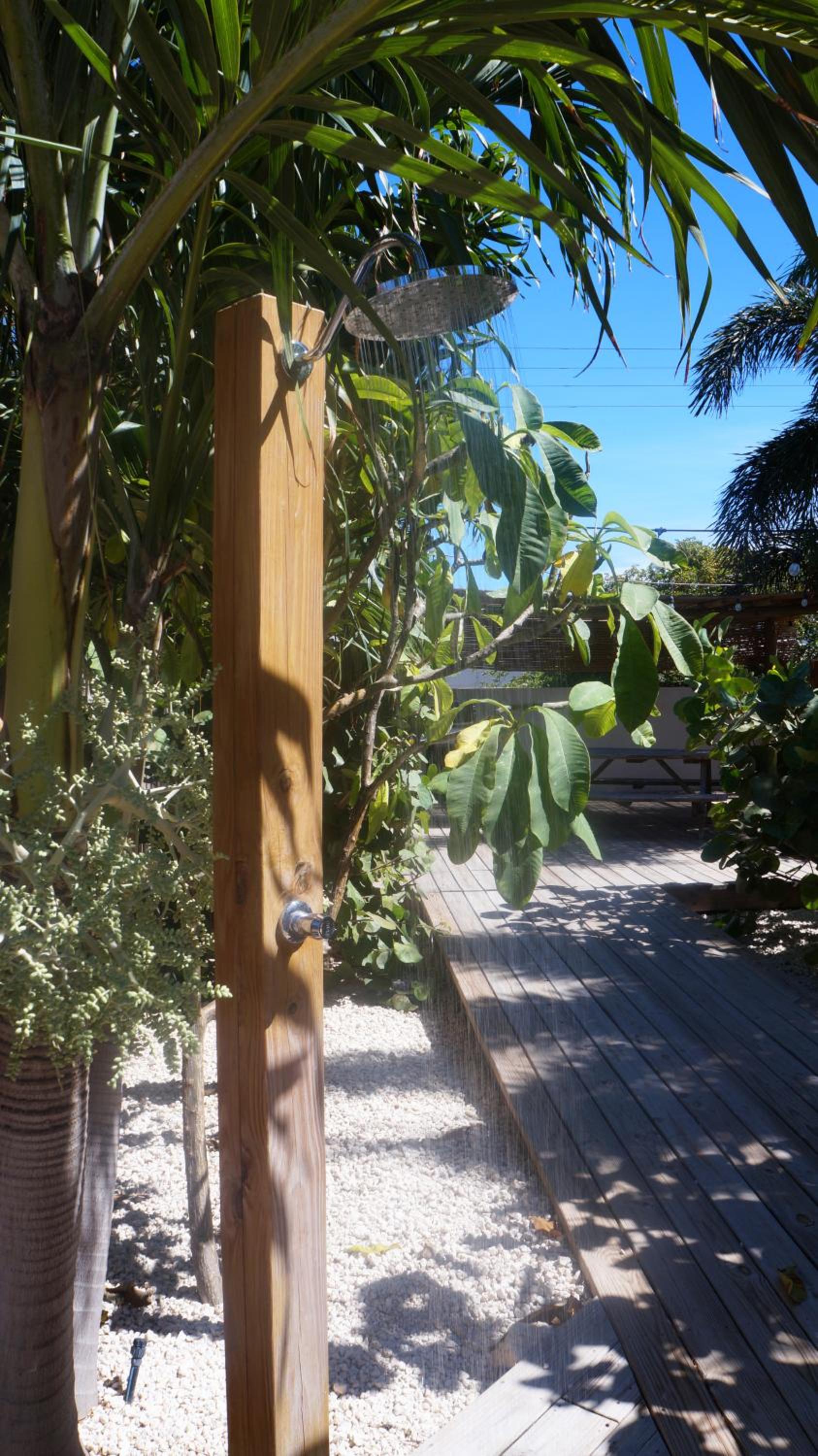 Aruba Palms Escape Suites