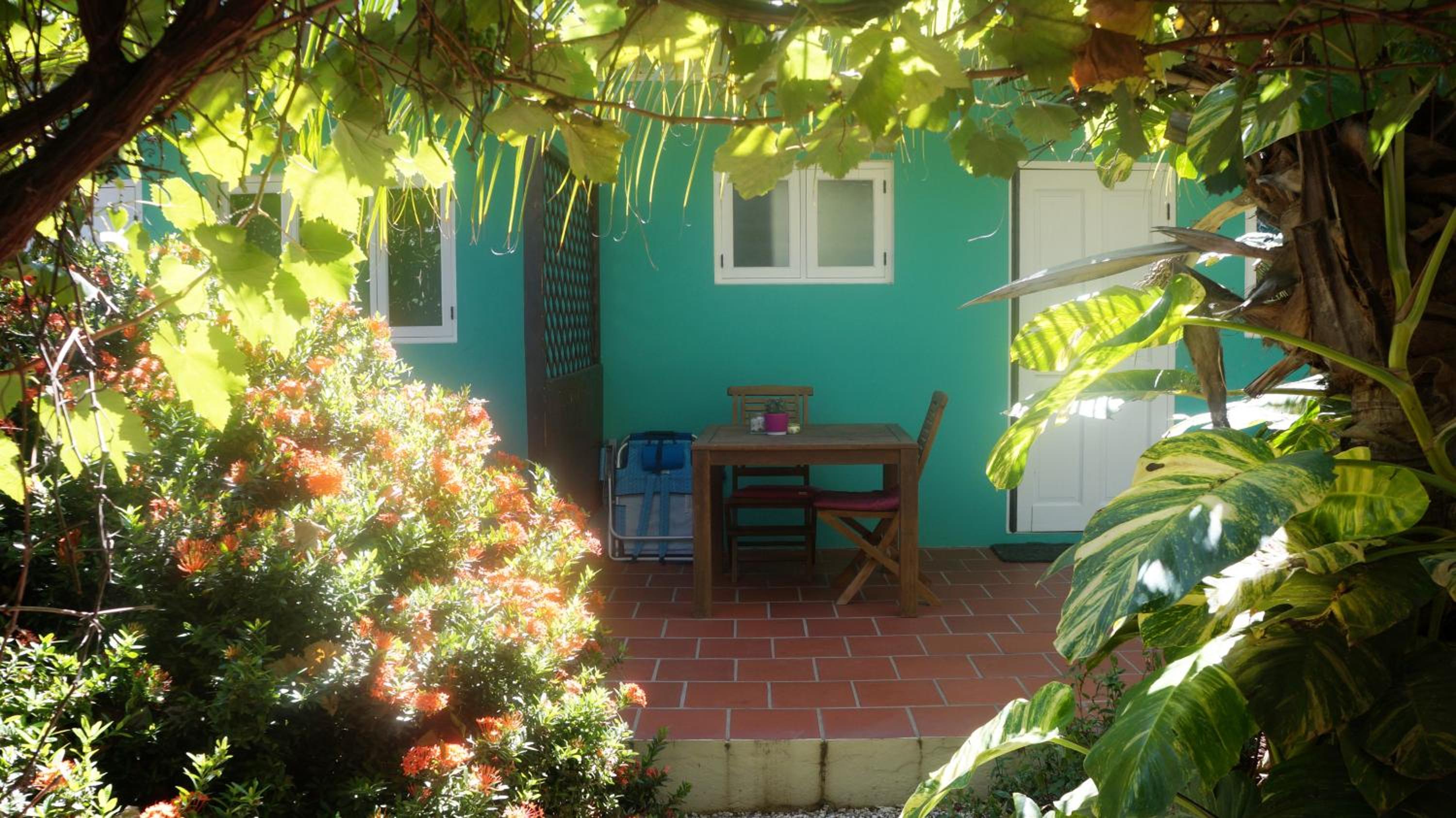 Aruba Palms Escape Suites
