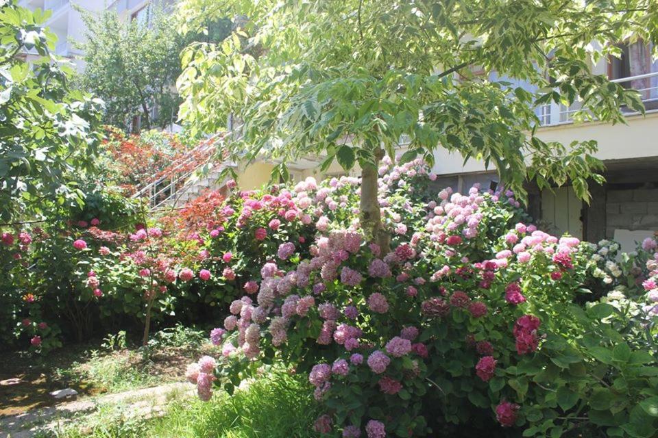 Pension Thermale d'Orkide — photo 2