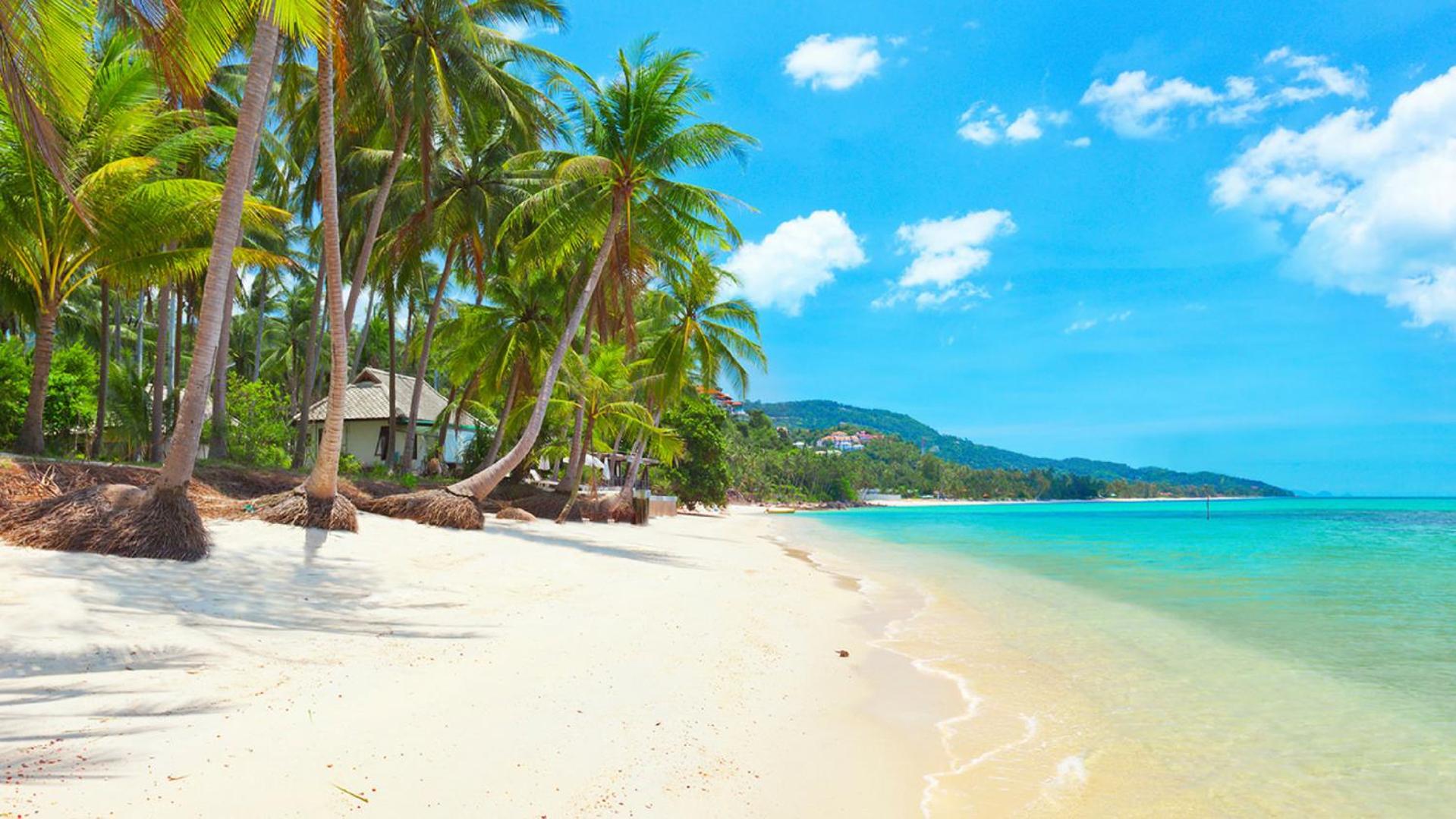 Samui Blue Bird