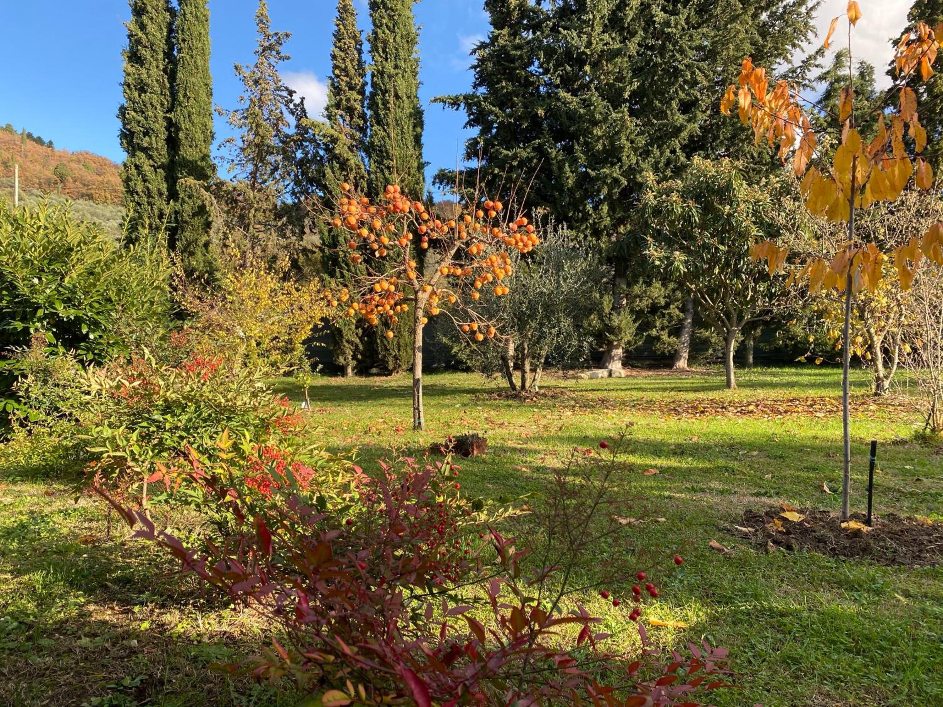 Photo 36