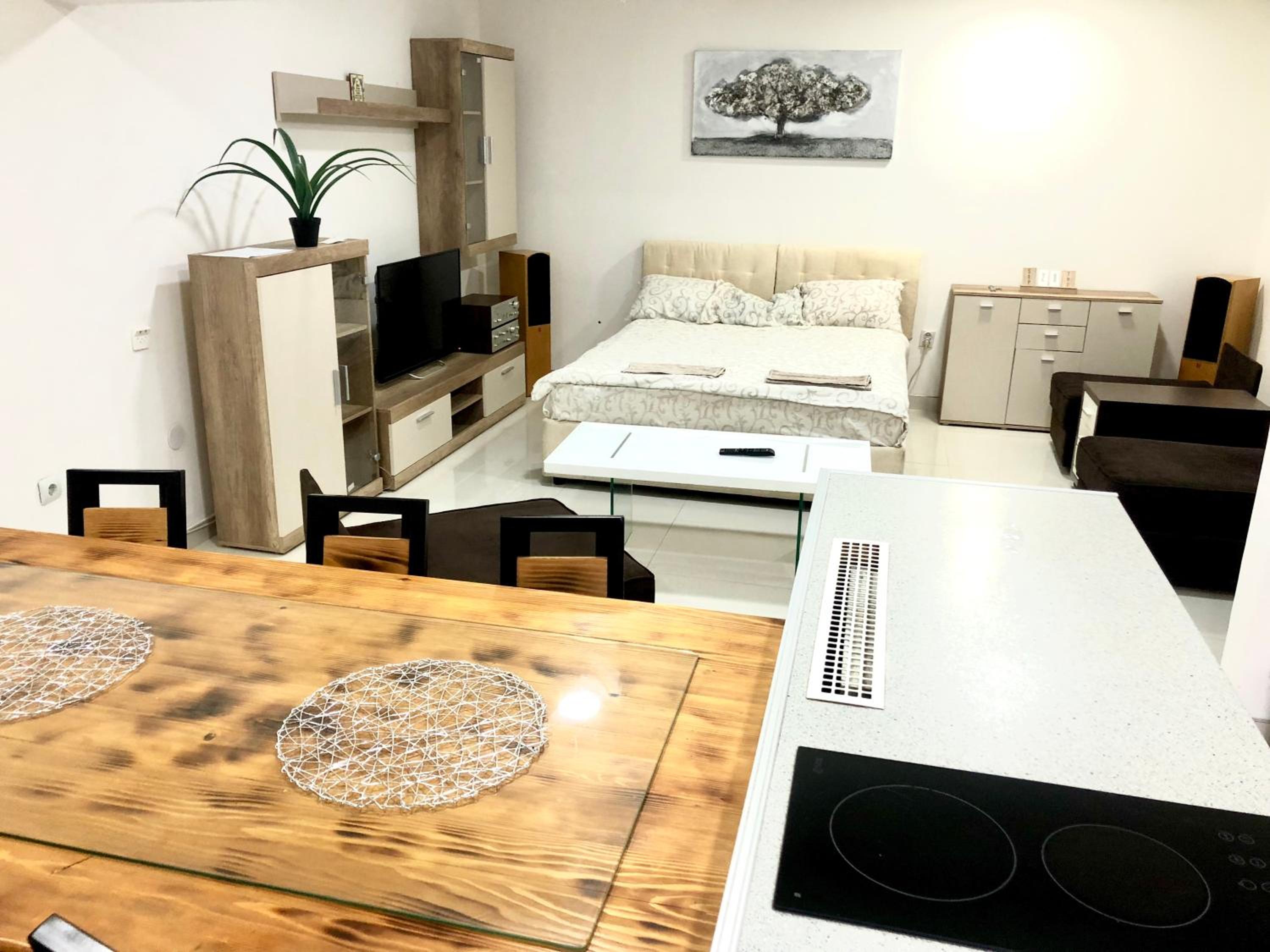 Apartment on a river avenue view 5