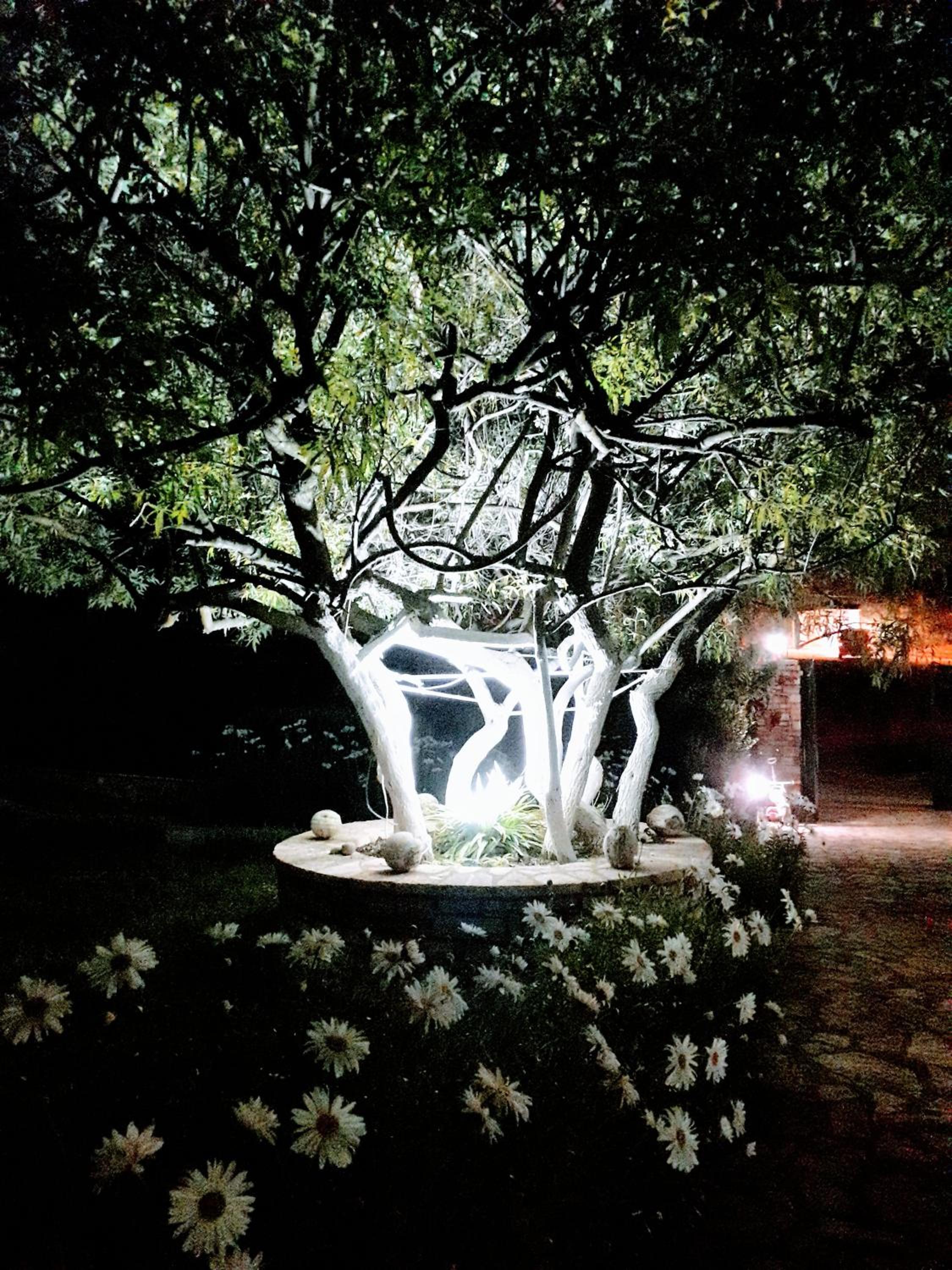 Agrotourism Himara