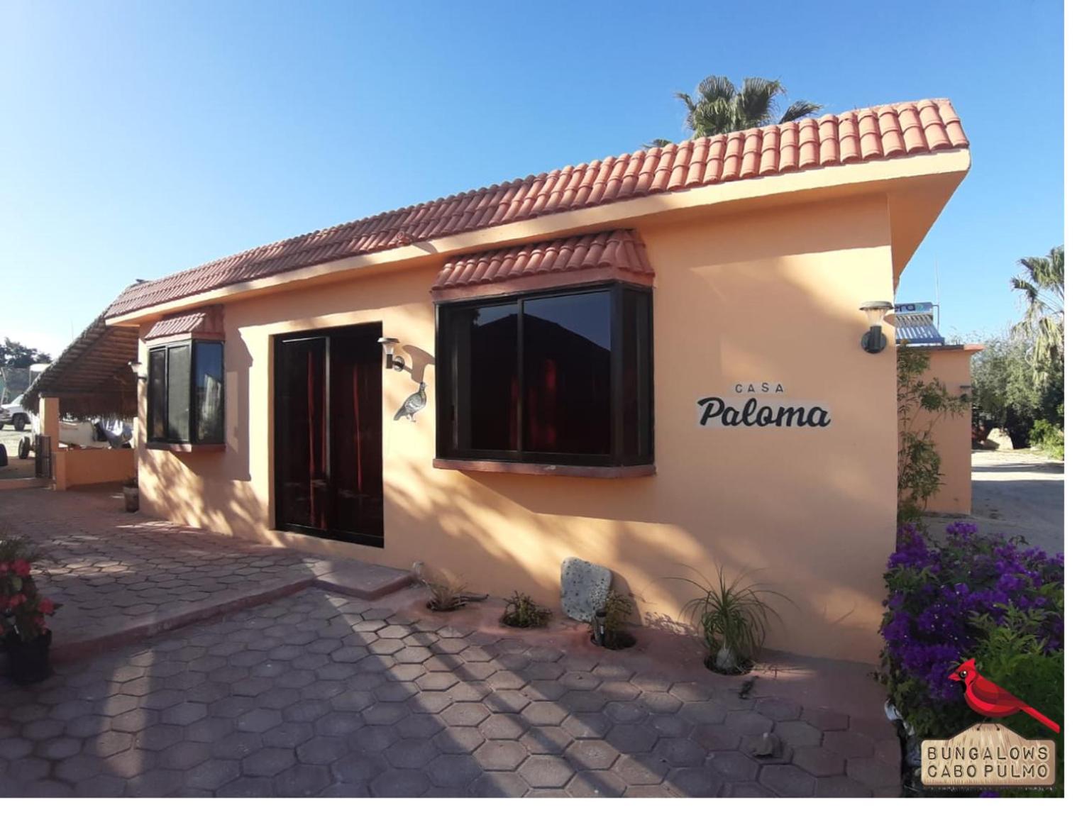 Bungalows Cabo Pulmo