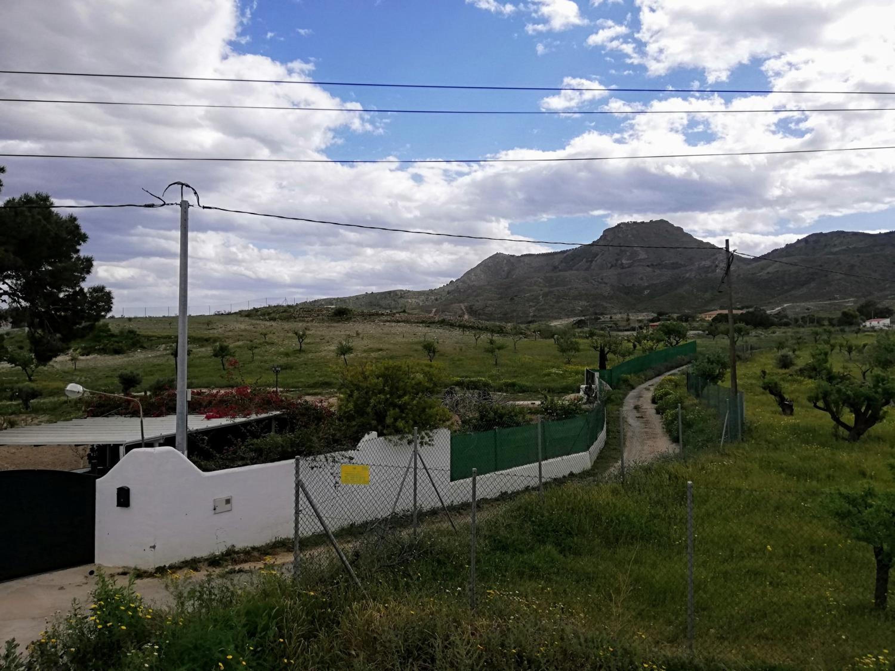 Photo 28