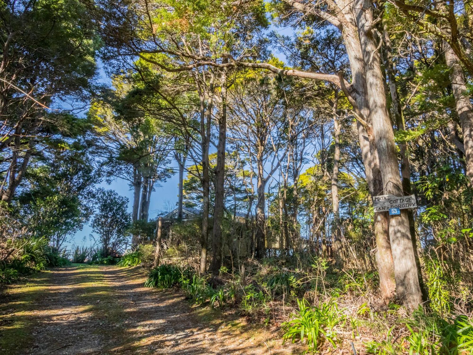 Matai Cottage - Pakawau Bach view 4