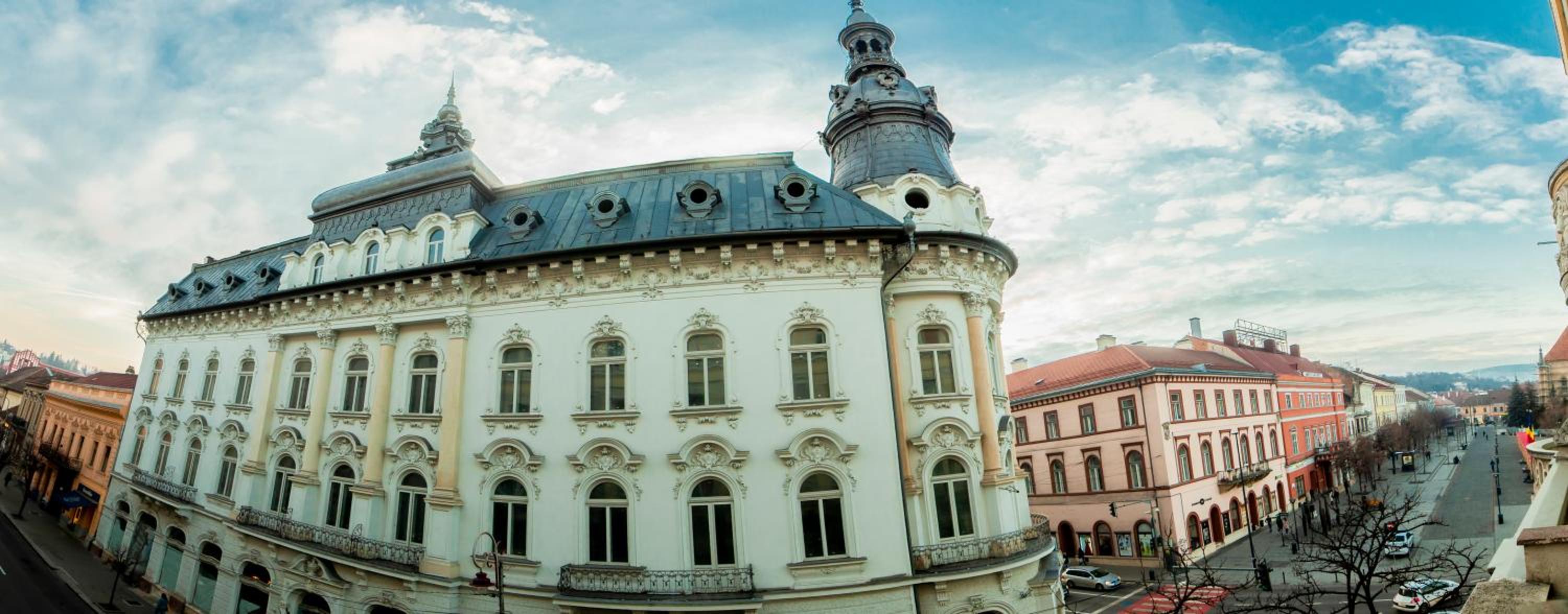 Hotel Matei Corvin Deluxe Apartment - Image 1