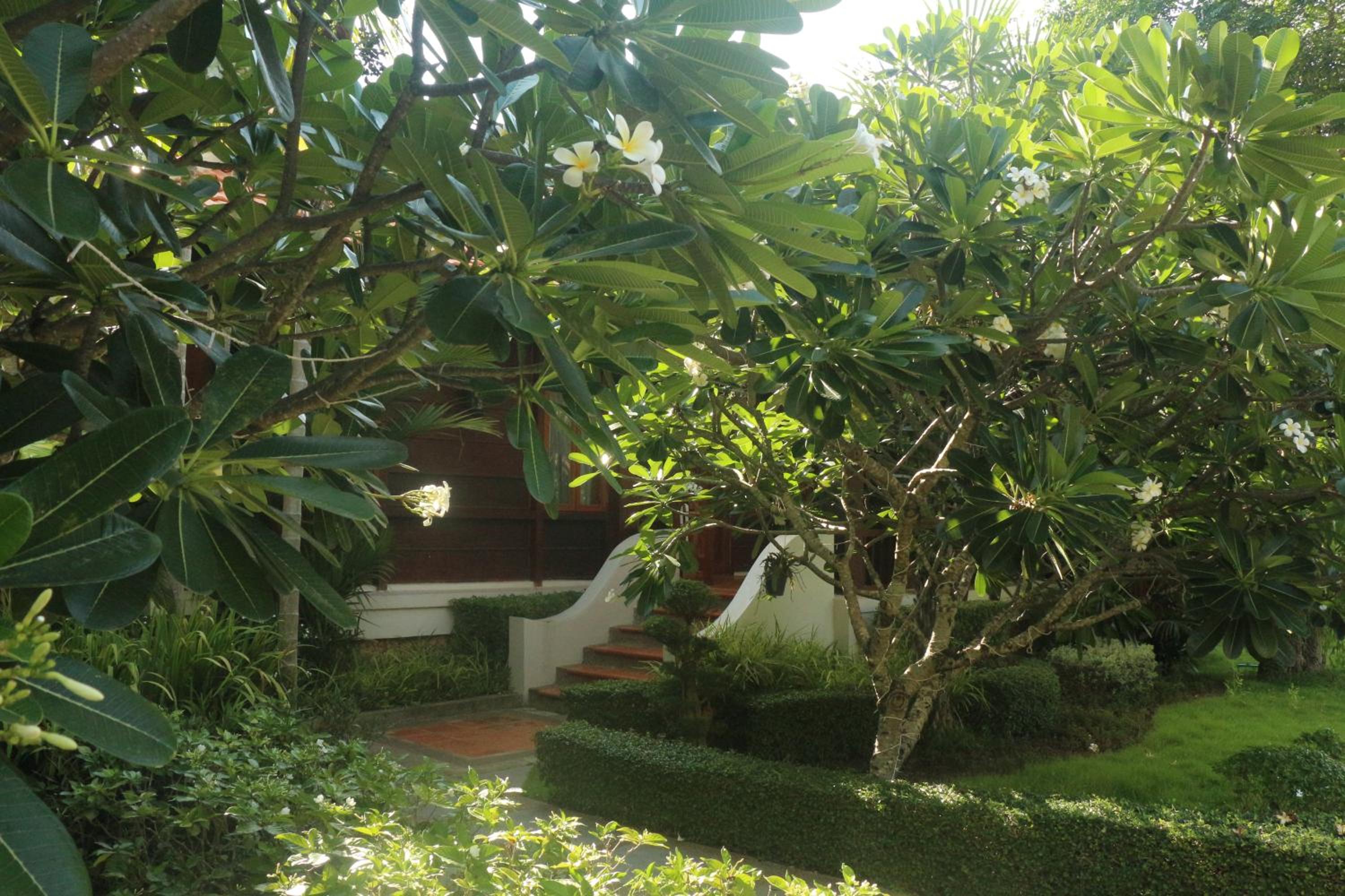 Try Palace Resort Kep