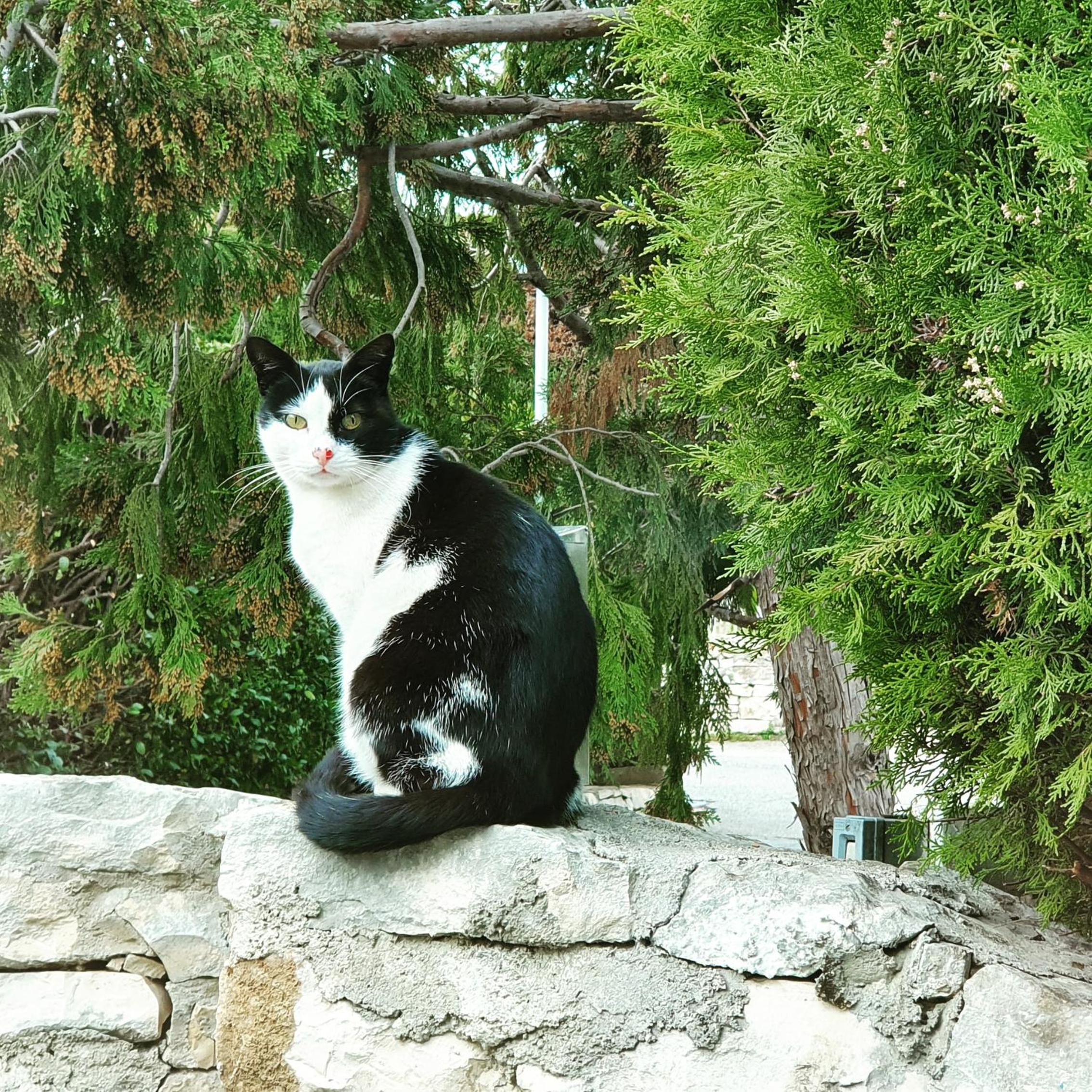 Photo 28
