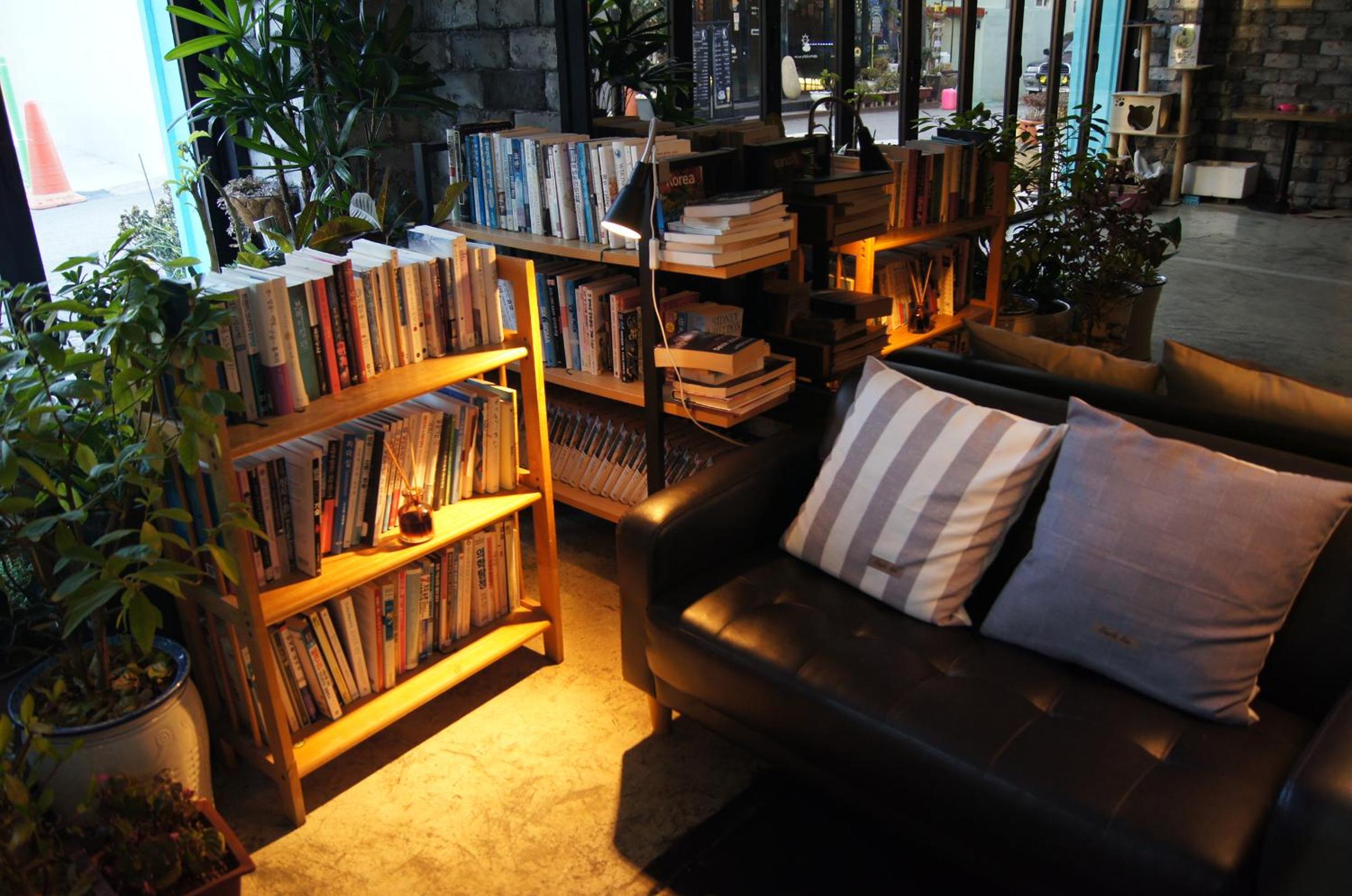 Backpackers In Yeosu