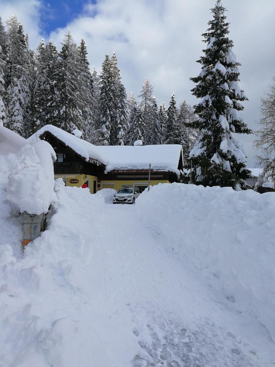 Almhütten Sonnblick & Almfried
