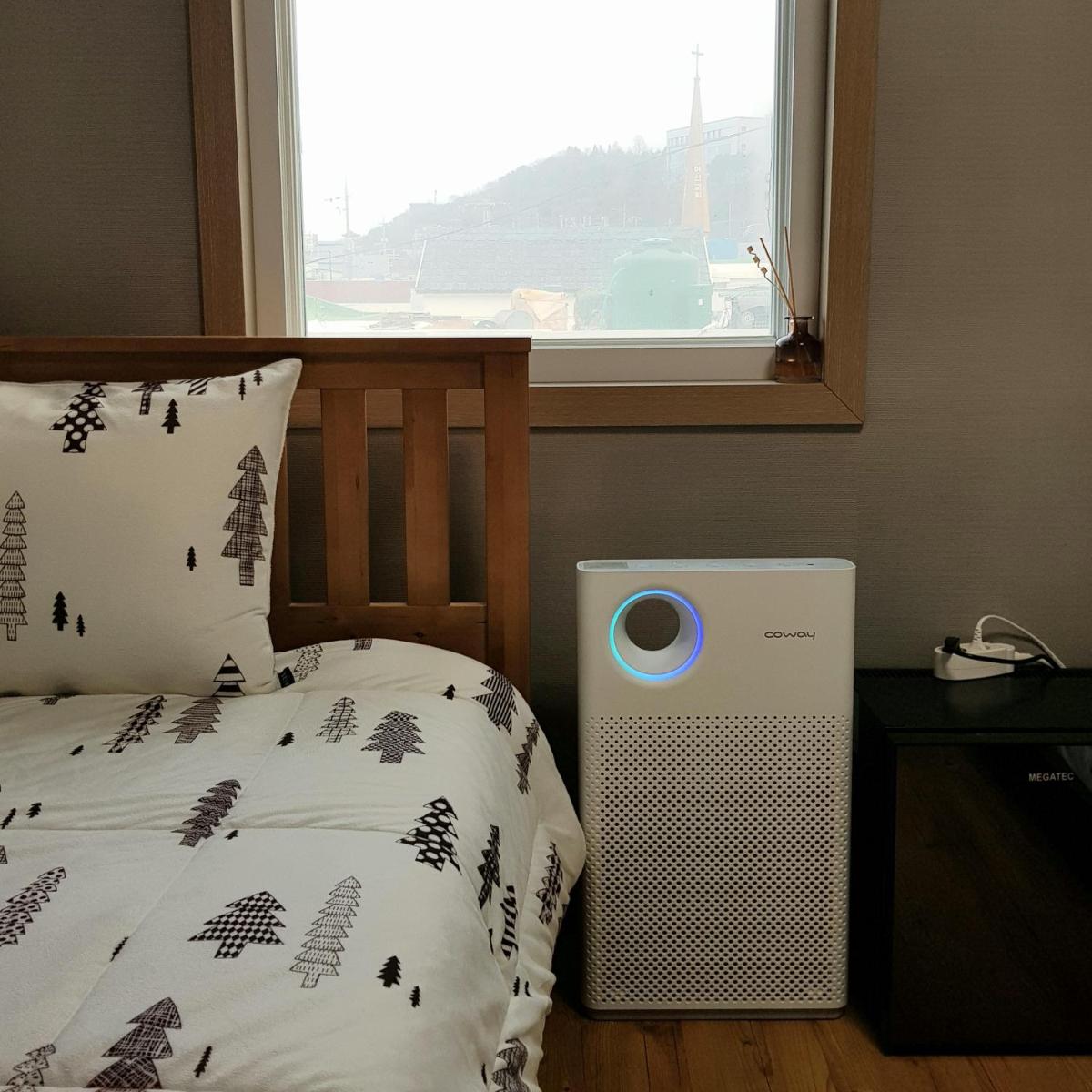 Backpackers In Yeosu