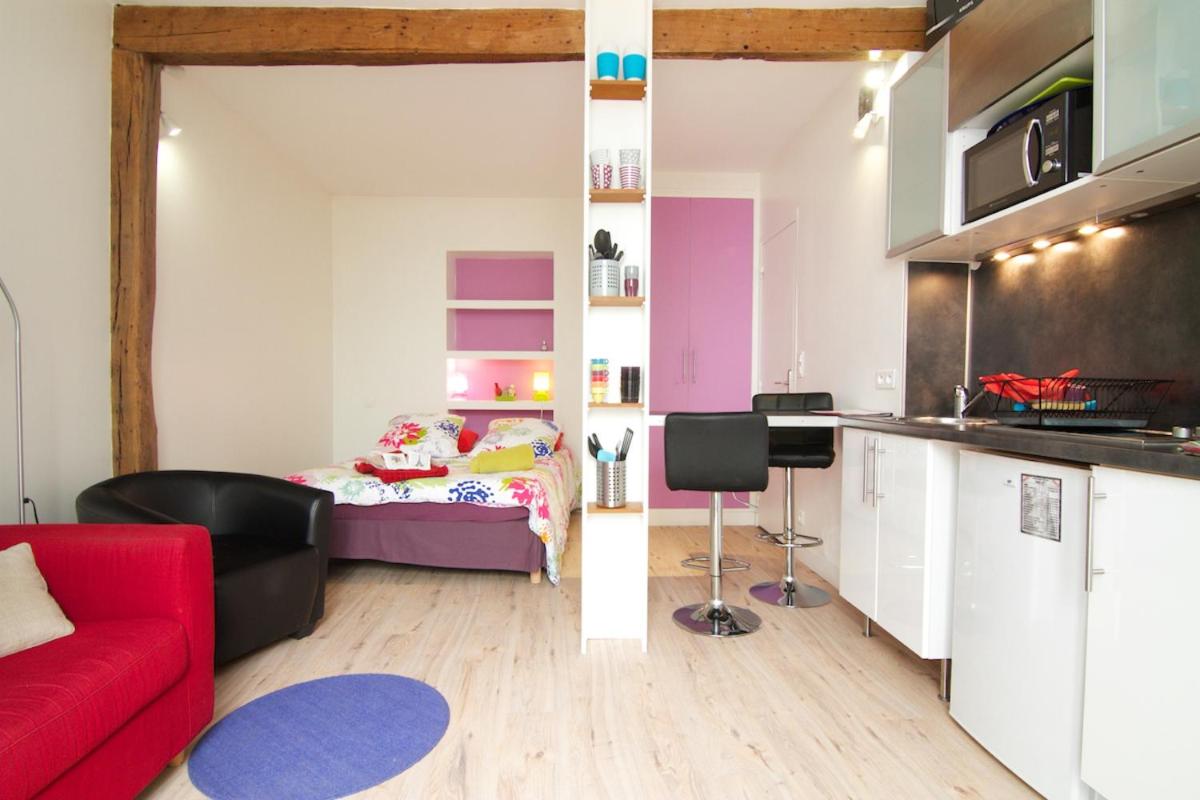 Studio Falguiere avec terrasse proche Necker et Montparnasse