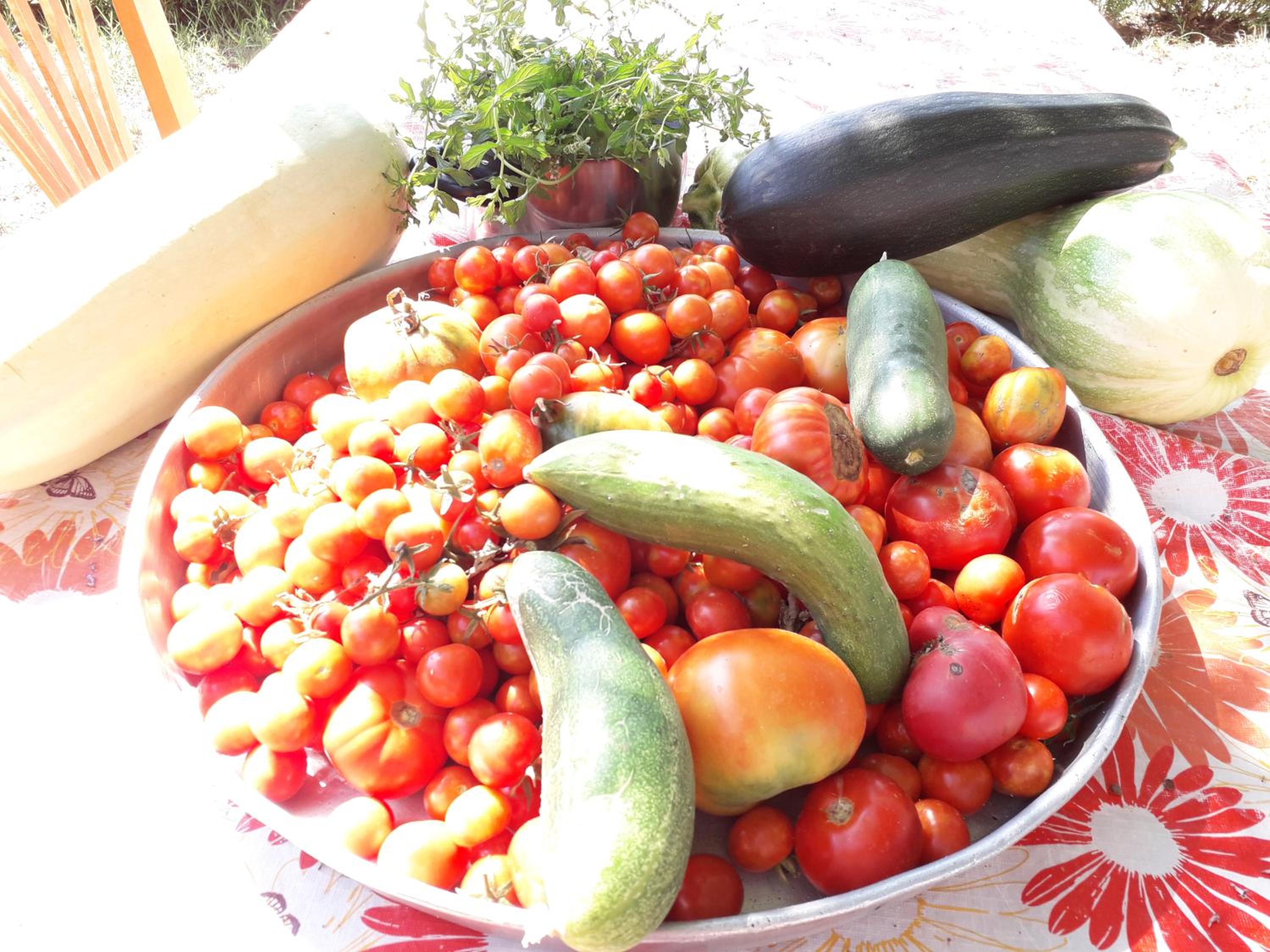Agrotourism Himara
