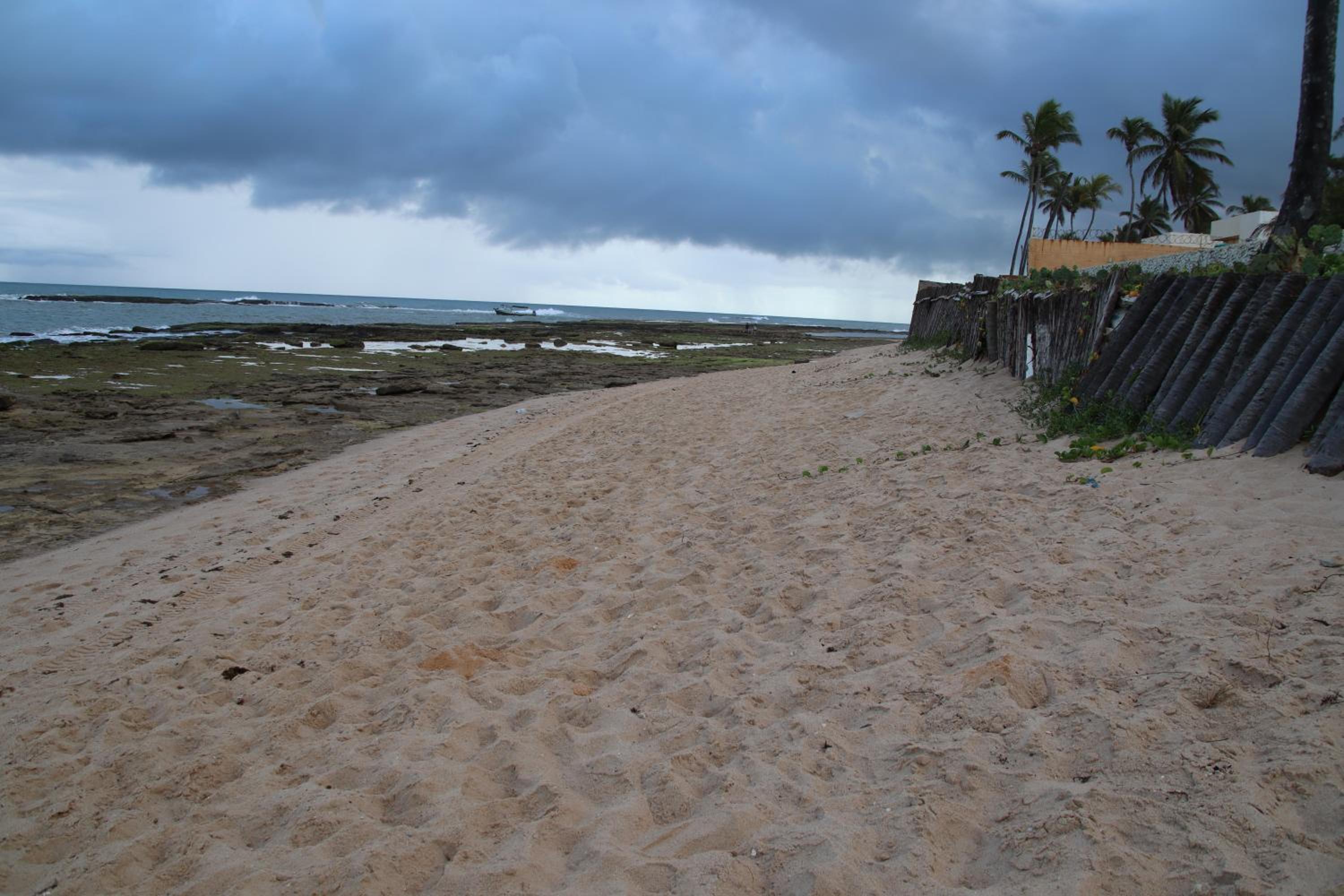 Photo 44