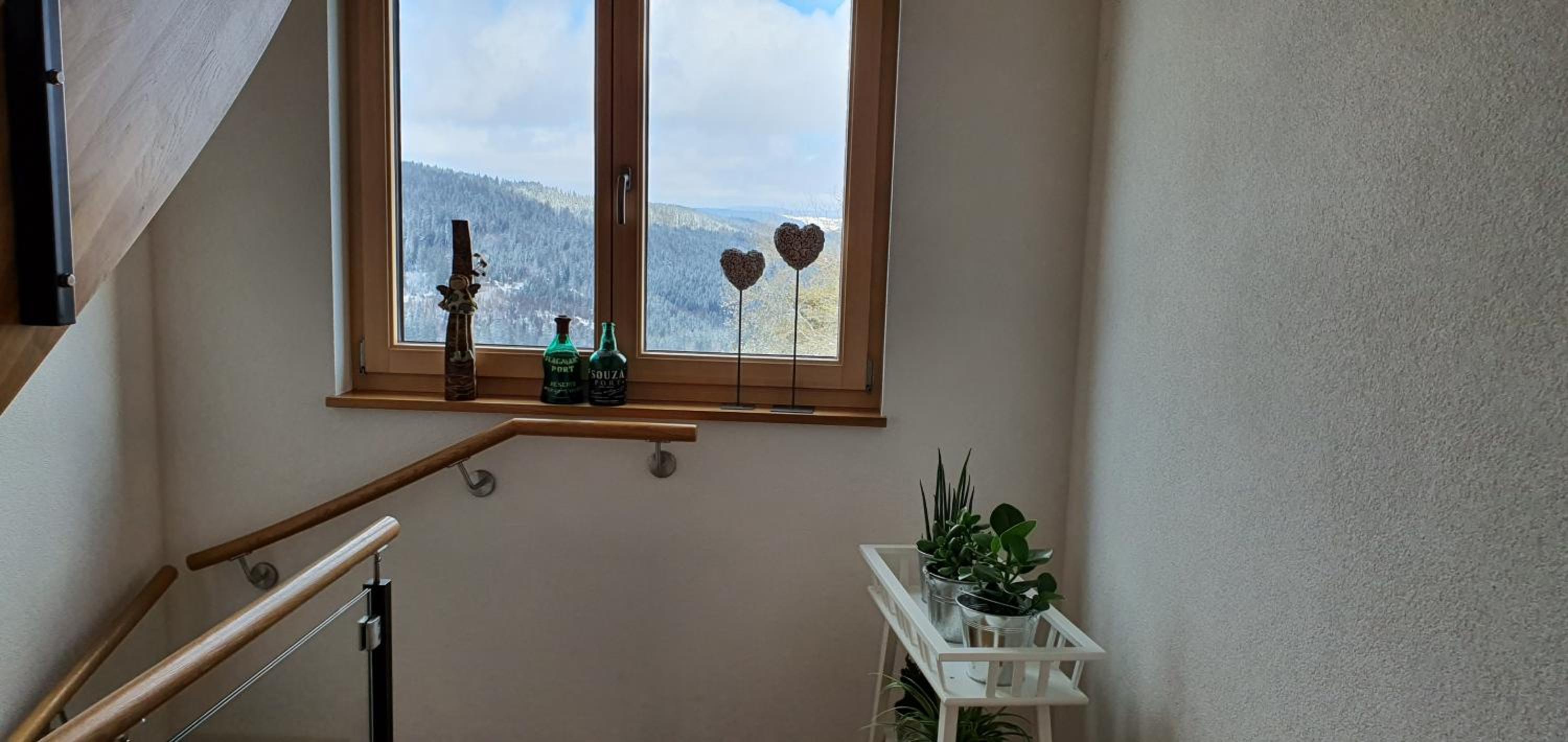 Adlernest view 4