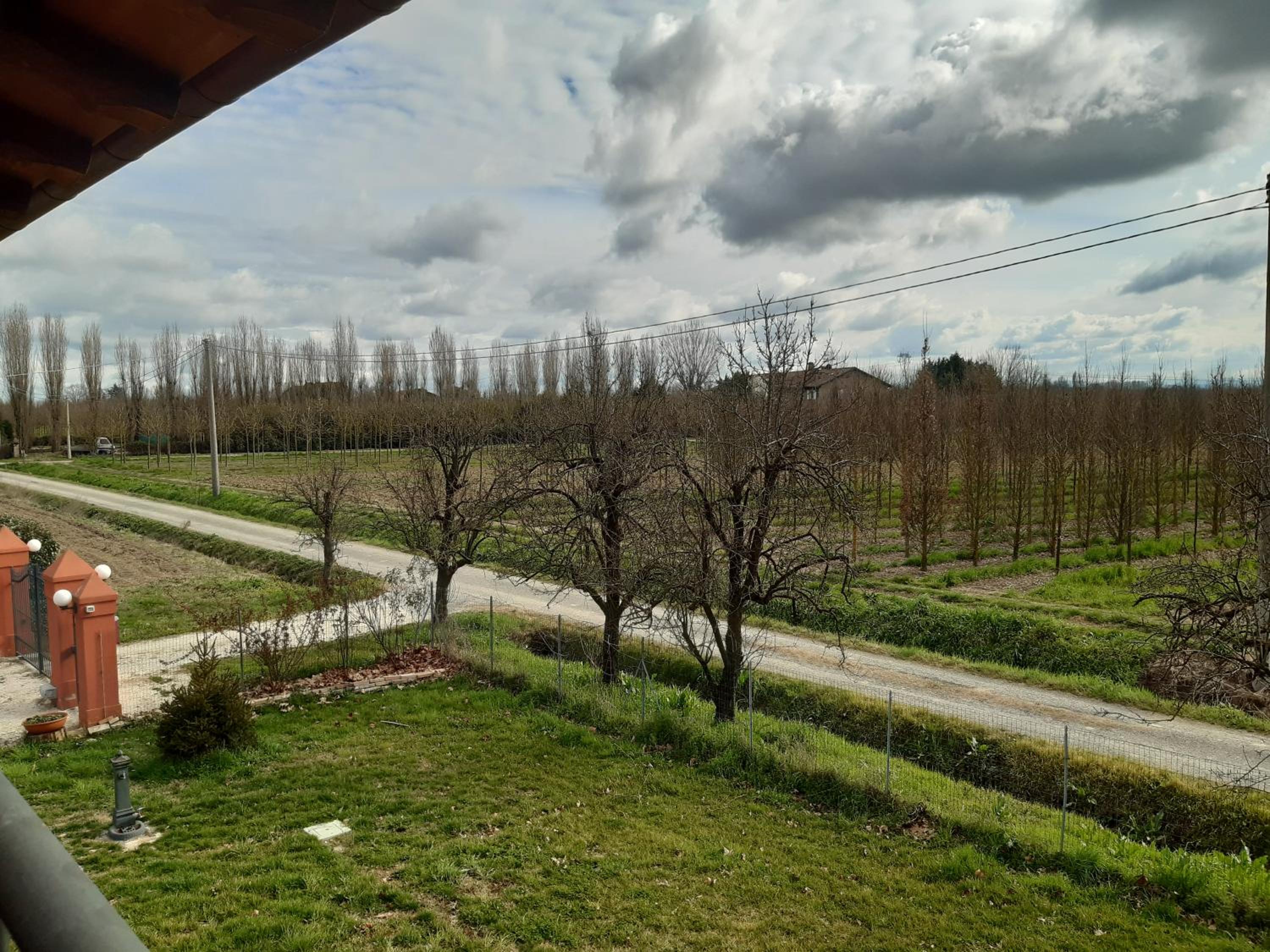 Photo 49