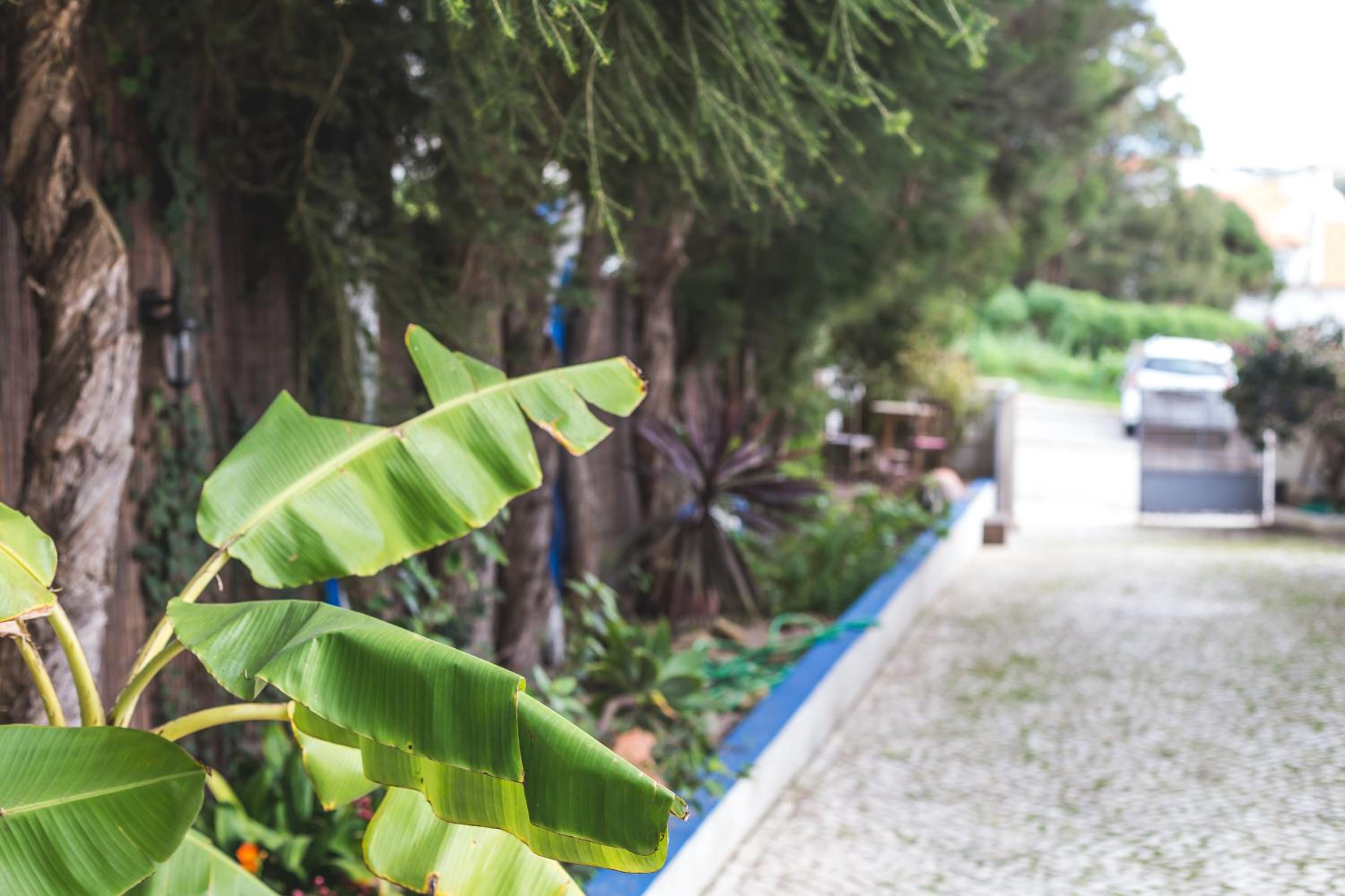 Ericeira Chill Hill Hostel & Private Rooms