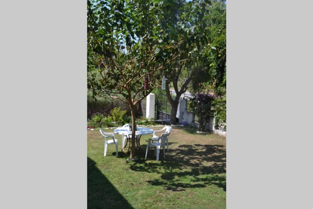 Photo 19
