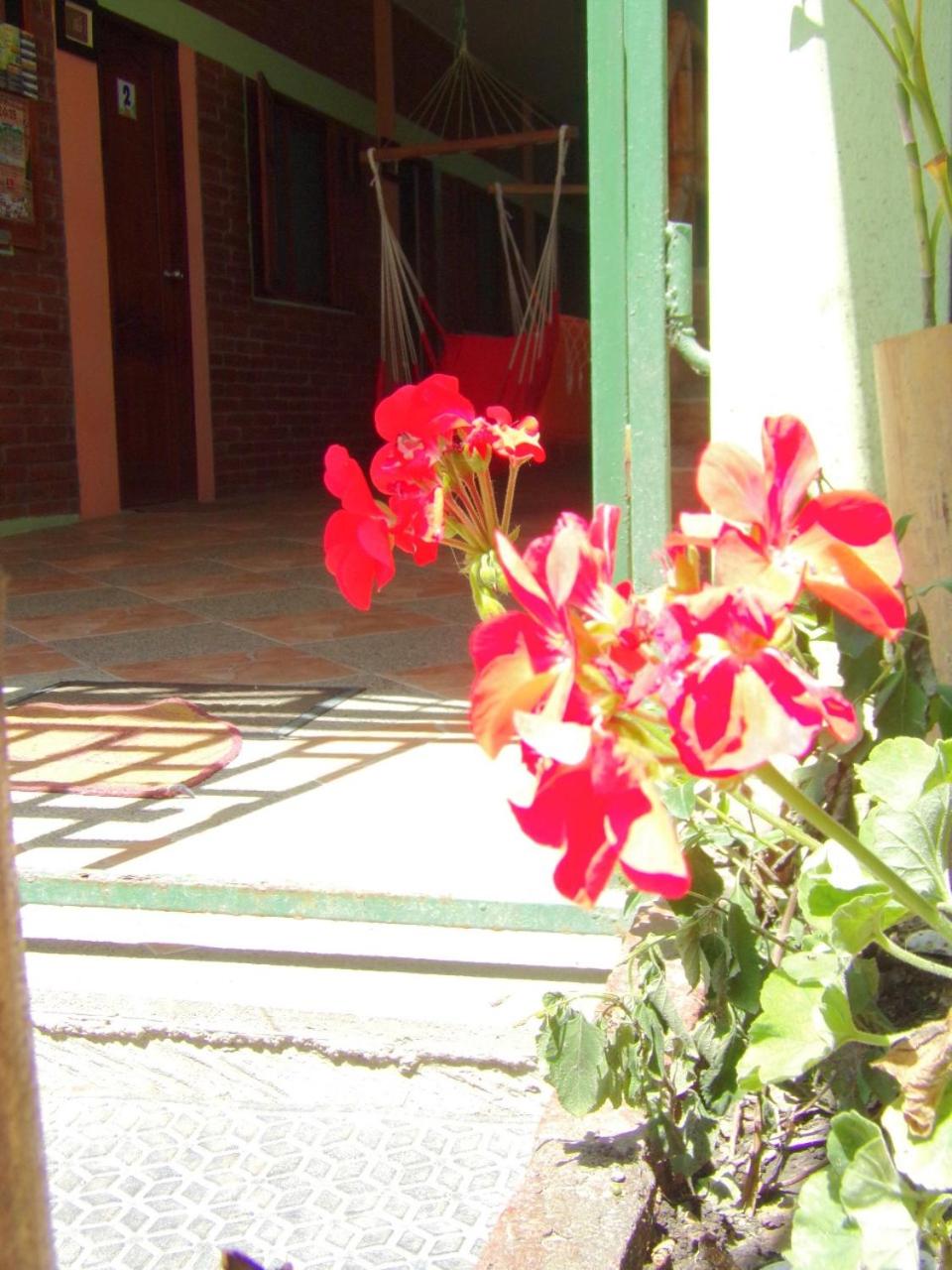 Photo 57
