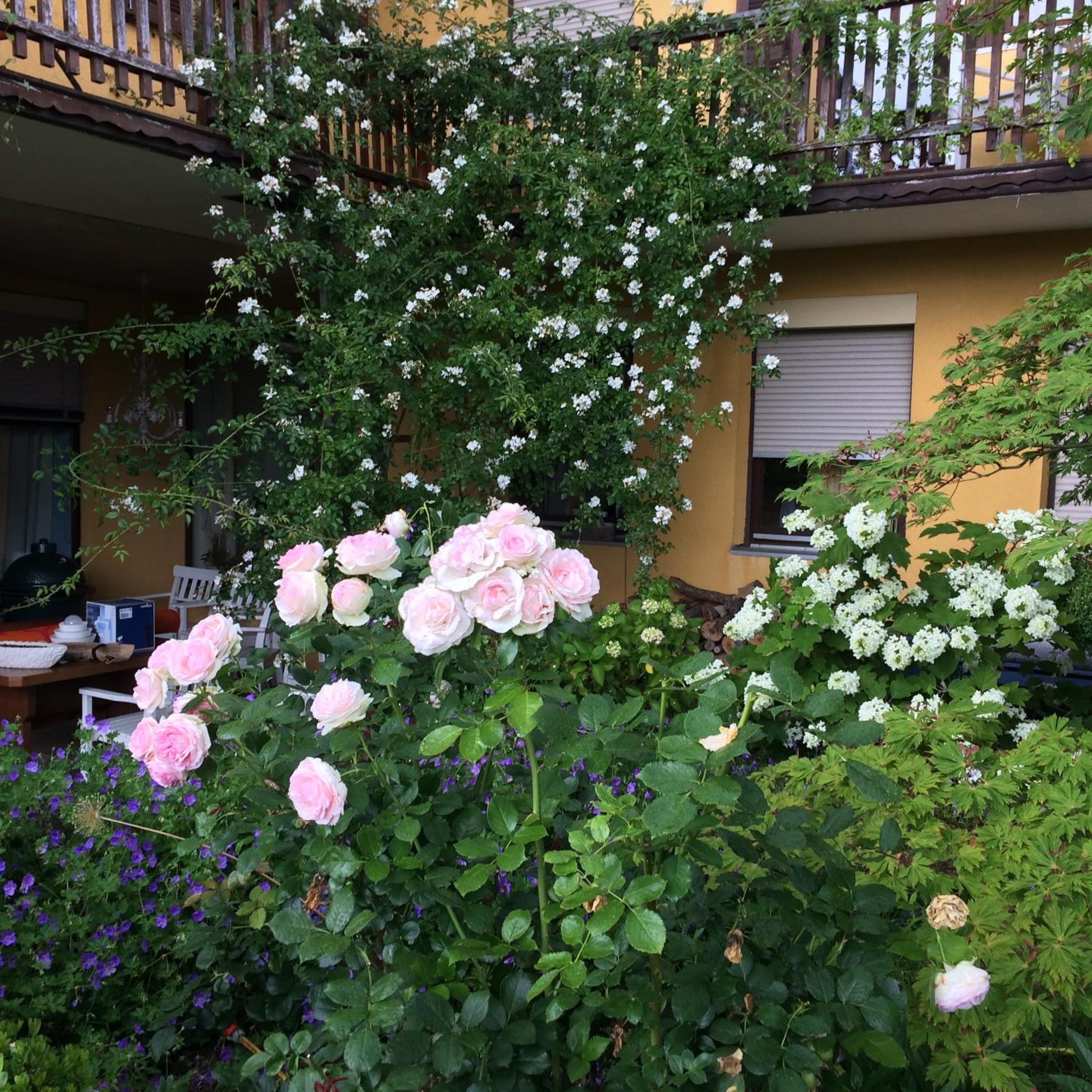 Landhaus GRETE