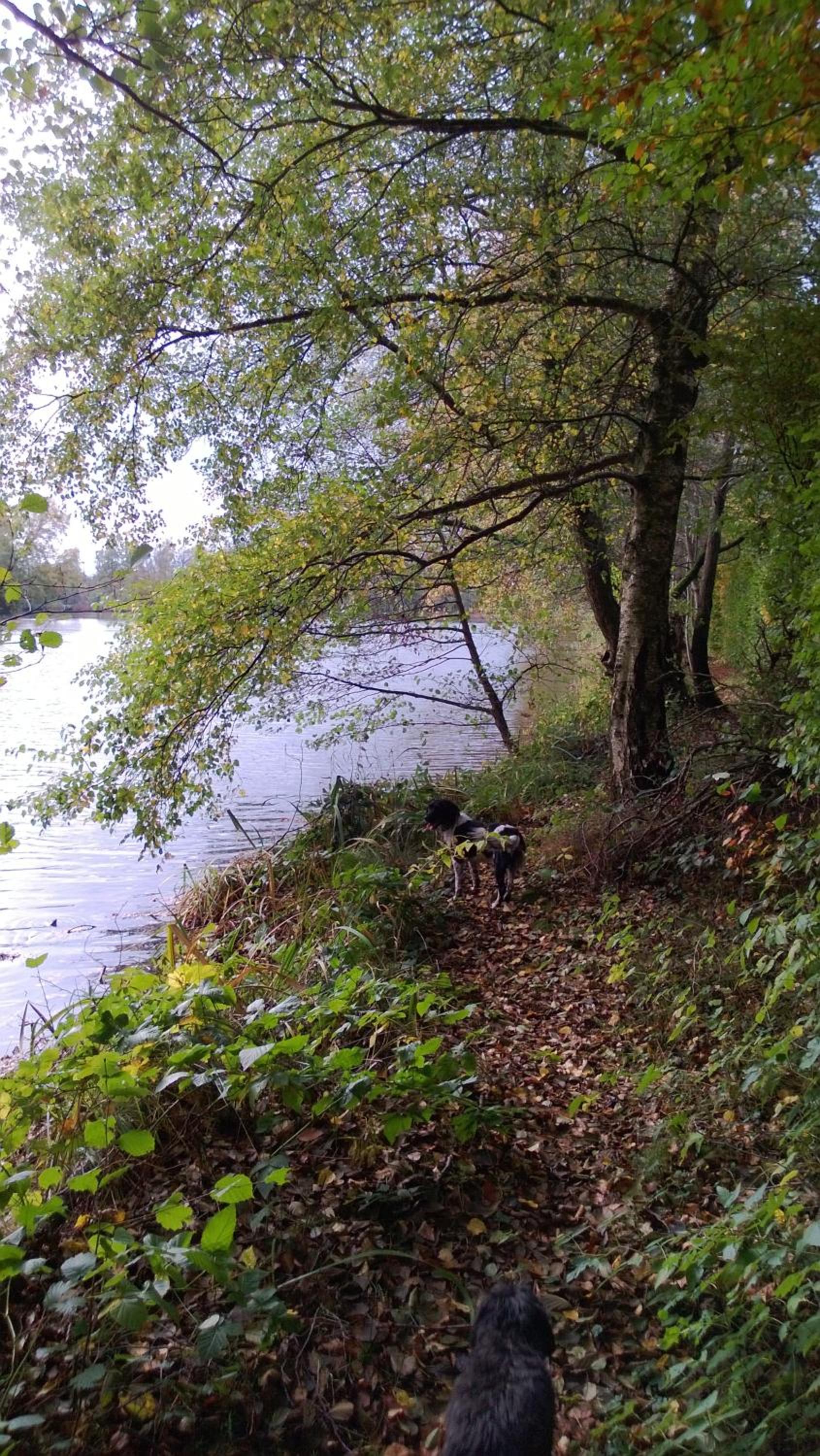 La cabane sur l'eau