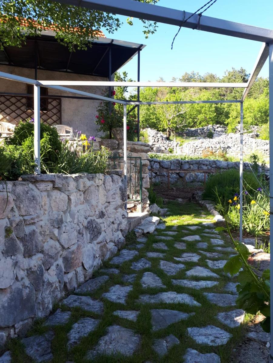 Photo 26
