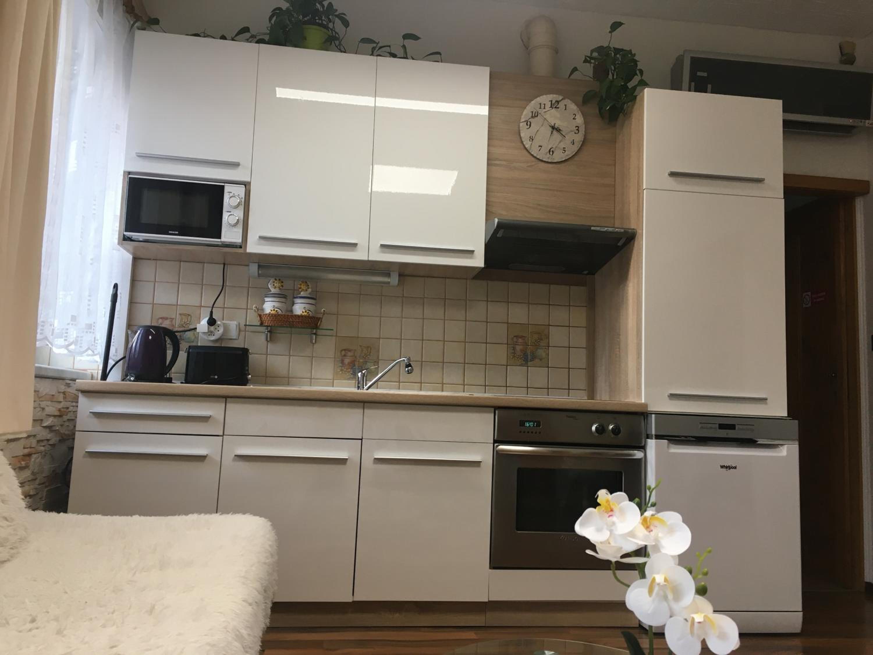 Apartment Hlinská