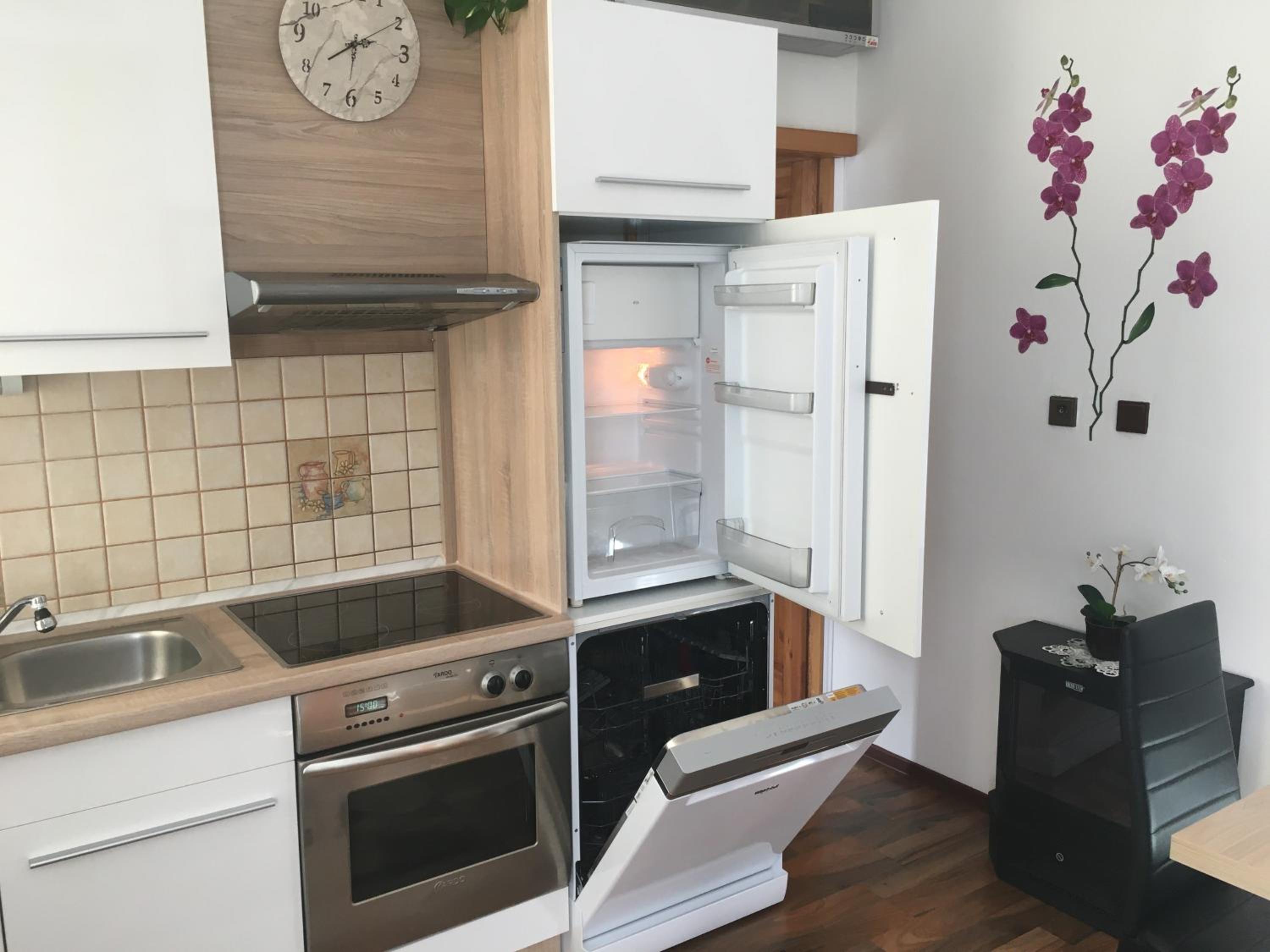 Apartment Hlinská