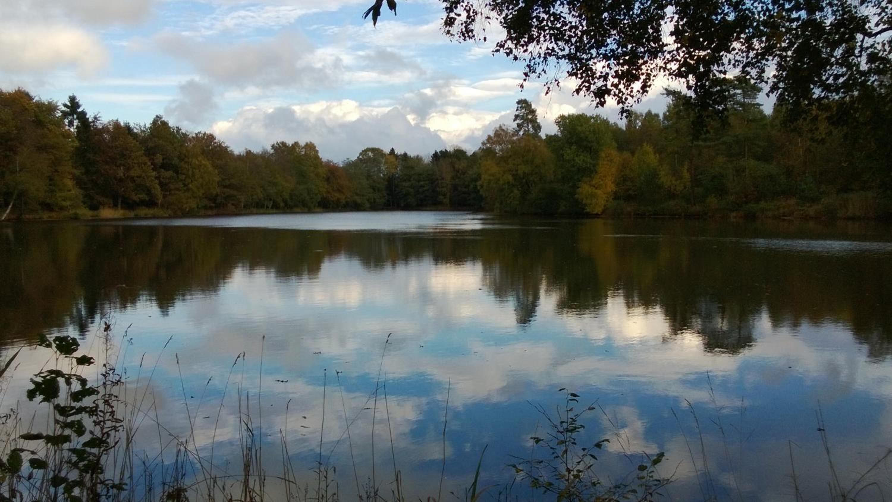 La cabane sur l'eau